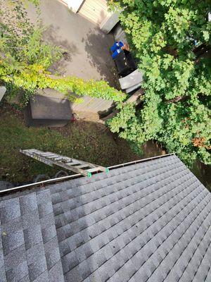 Gutter and Roof Cleaning for Residential Property in Great Neck