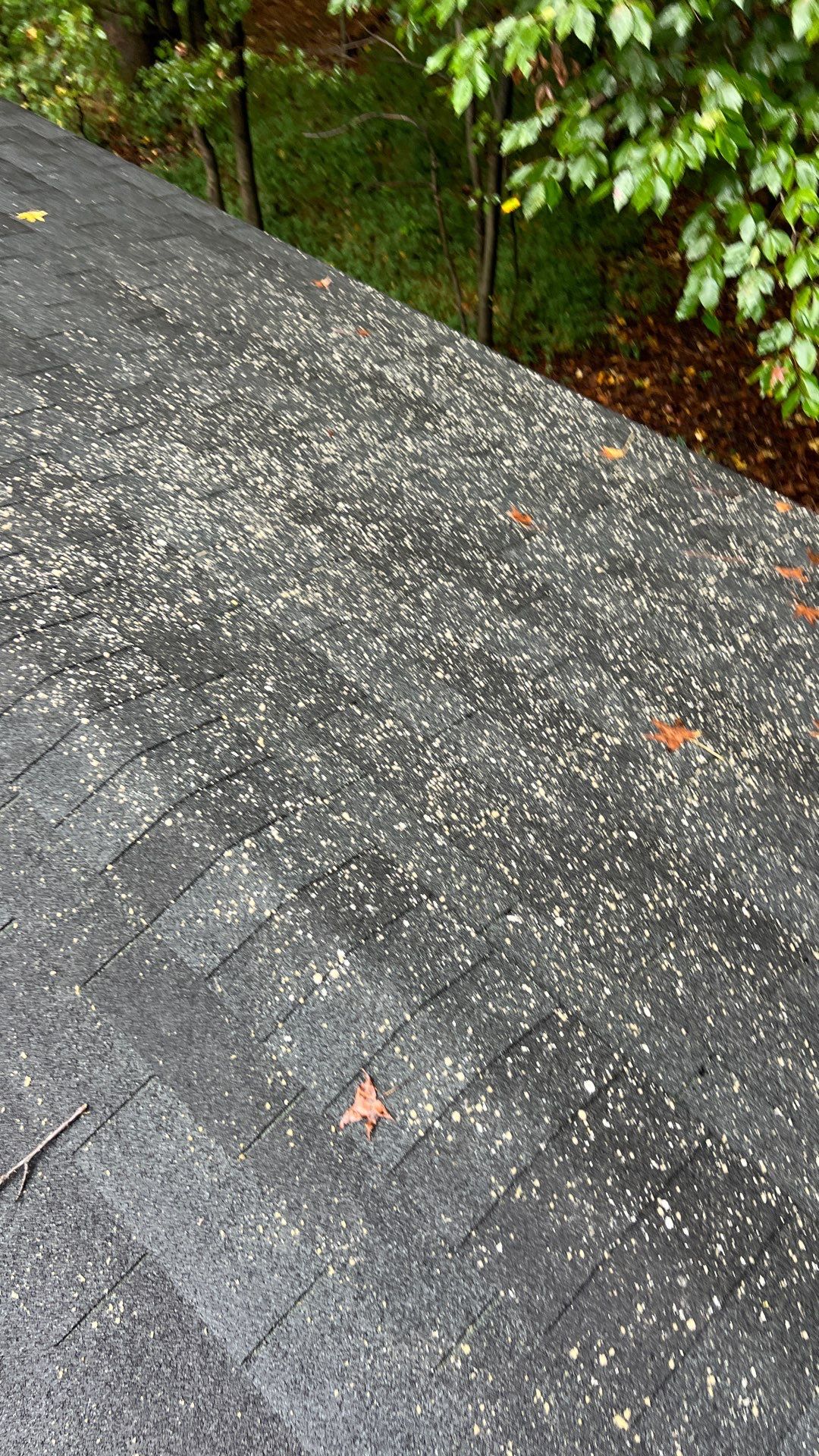 Project in Manakin-Sabot by Roof Maxx of Midlothian