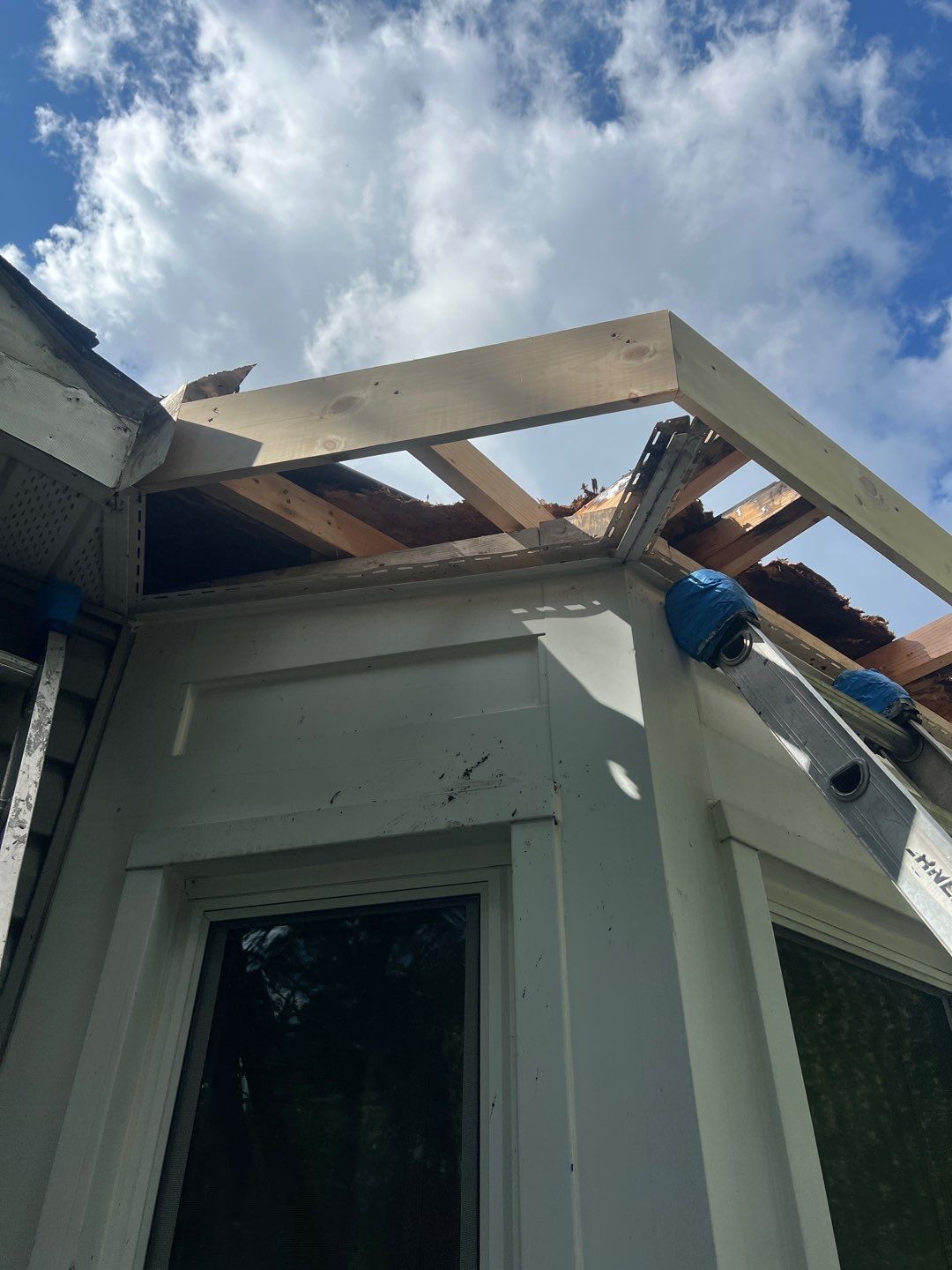 Alexandria: Residential Flat Roof Replacement with MuleHide TPO by RM Banning, Inc.