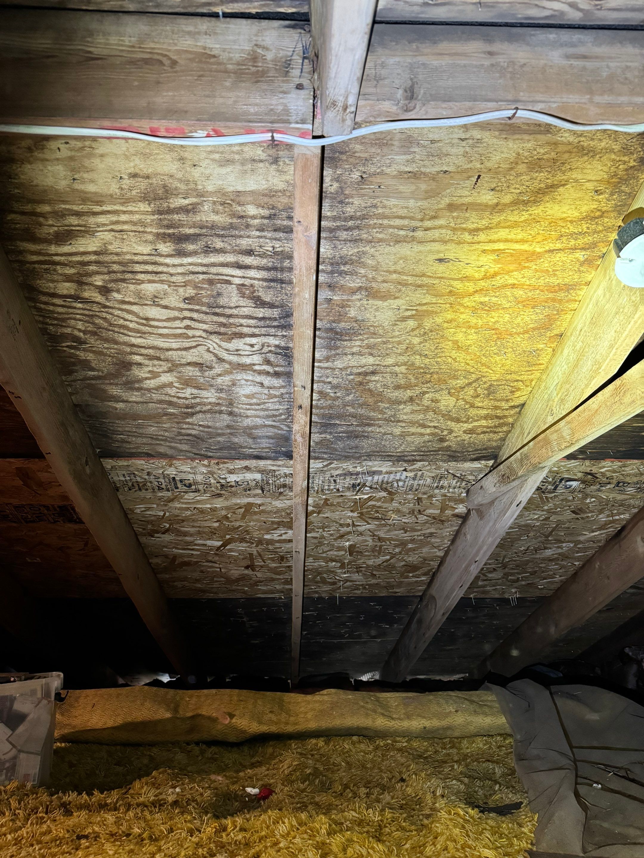 Attic Mold Remediation by Home Guarantee, LLC