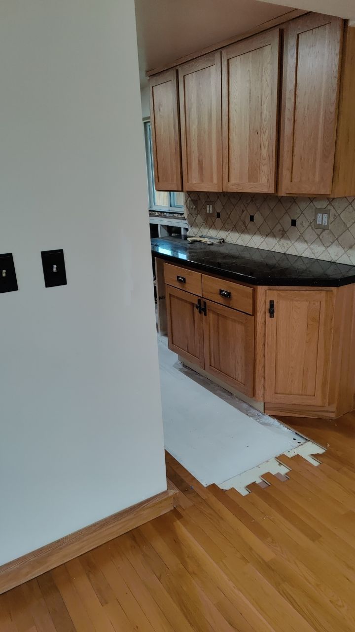 Mold Damage by Accountable Home Services