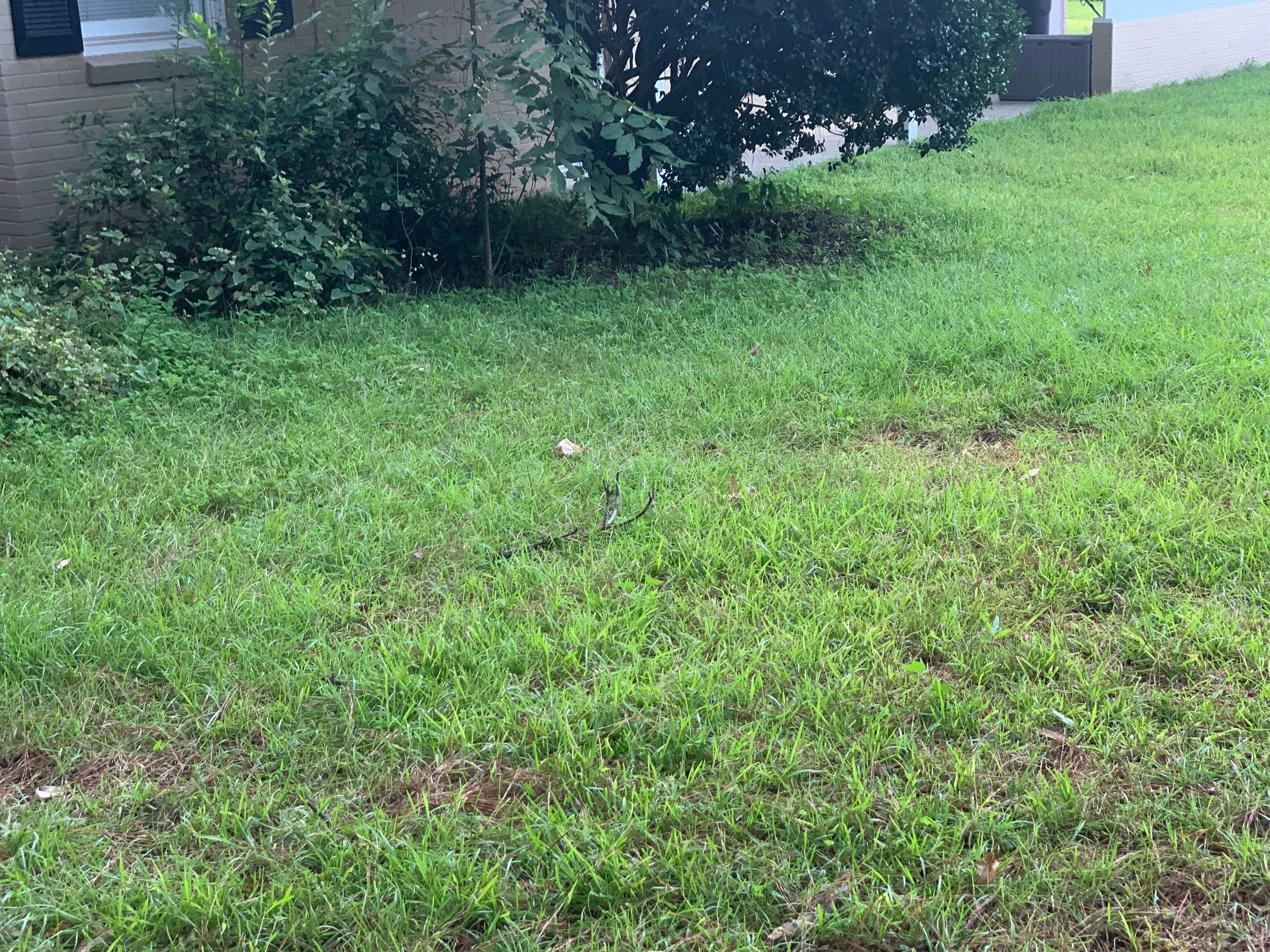 Yard Makeover by College Bros Outdoor services