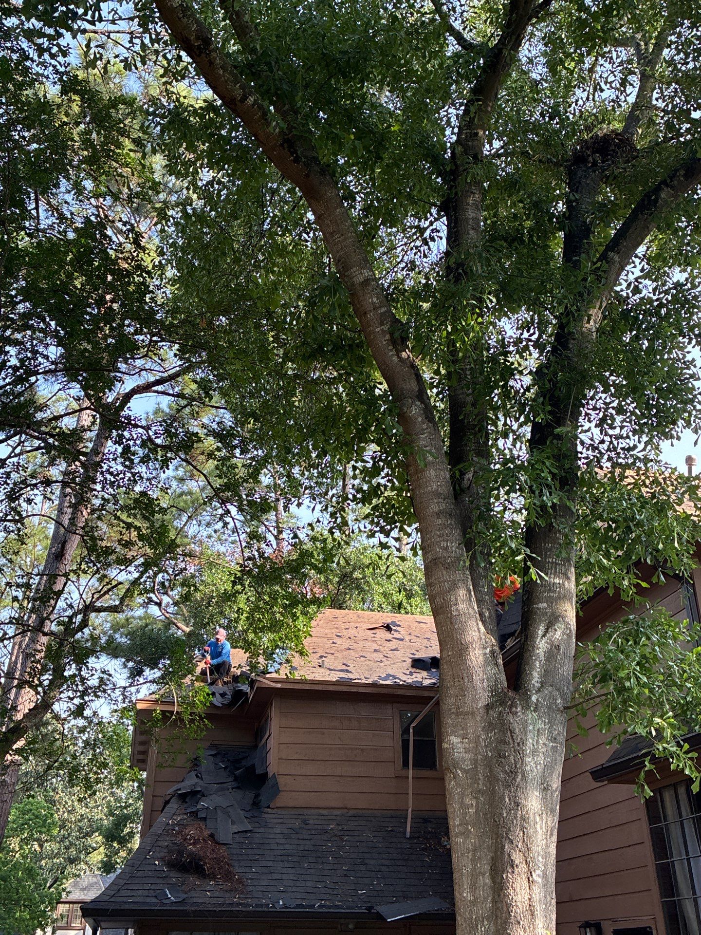 Roof Replacement in Memorial Northwest, Spring TX by Roof Repair Company