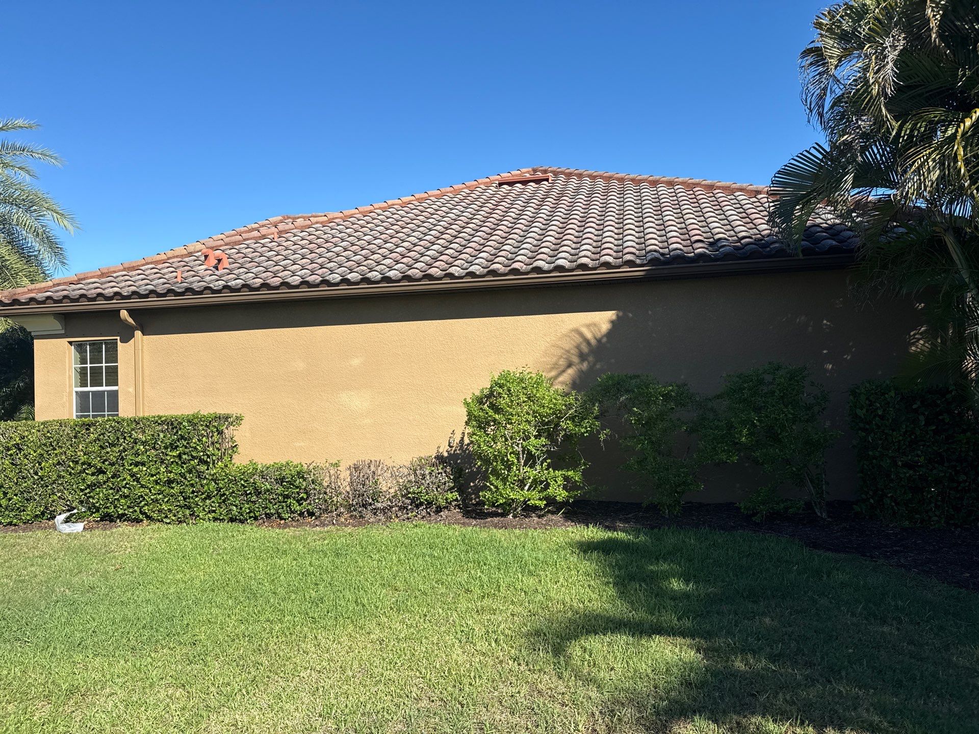 This project focused on a full gutter clean-out to restore proper water flow and prevent overflow issues.  Our scope of work included: 	•	Removing heavy leaf and pollen buildup from the gutter system 	•	Clearing out clogged sections along the rear gutters near the pool cage, where debris tends to accumulate more heavily 	•	Inspecting and cleaning the front gutter guards, which had several blocked areas restricting water flow 	•	Ensuring all downspouts and channels were flowing properly after service  Even with gutter guards installed, debris like pollen, shingle grit, and fine organic matter can still build up over time—especially in Florida’s environment. Regular maintenance helps prevent water damage, overflow, and staining on exterior surfaces.  Another thorough job completed by Sunshine AquaWash® – keeping homes protected from top to bottom. by Sunshine AquaWash