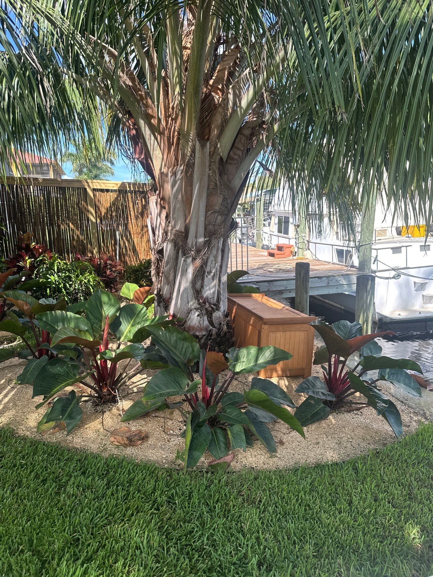 “Tropical Oasis Transformation in Palm City” by Alpha Zeta Enterprises Inc