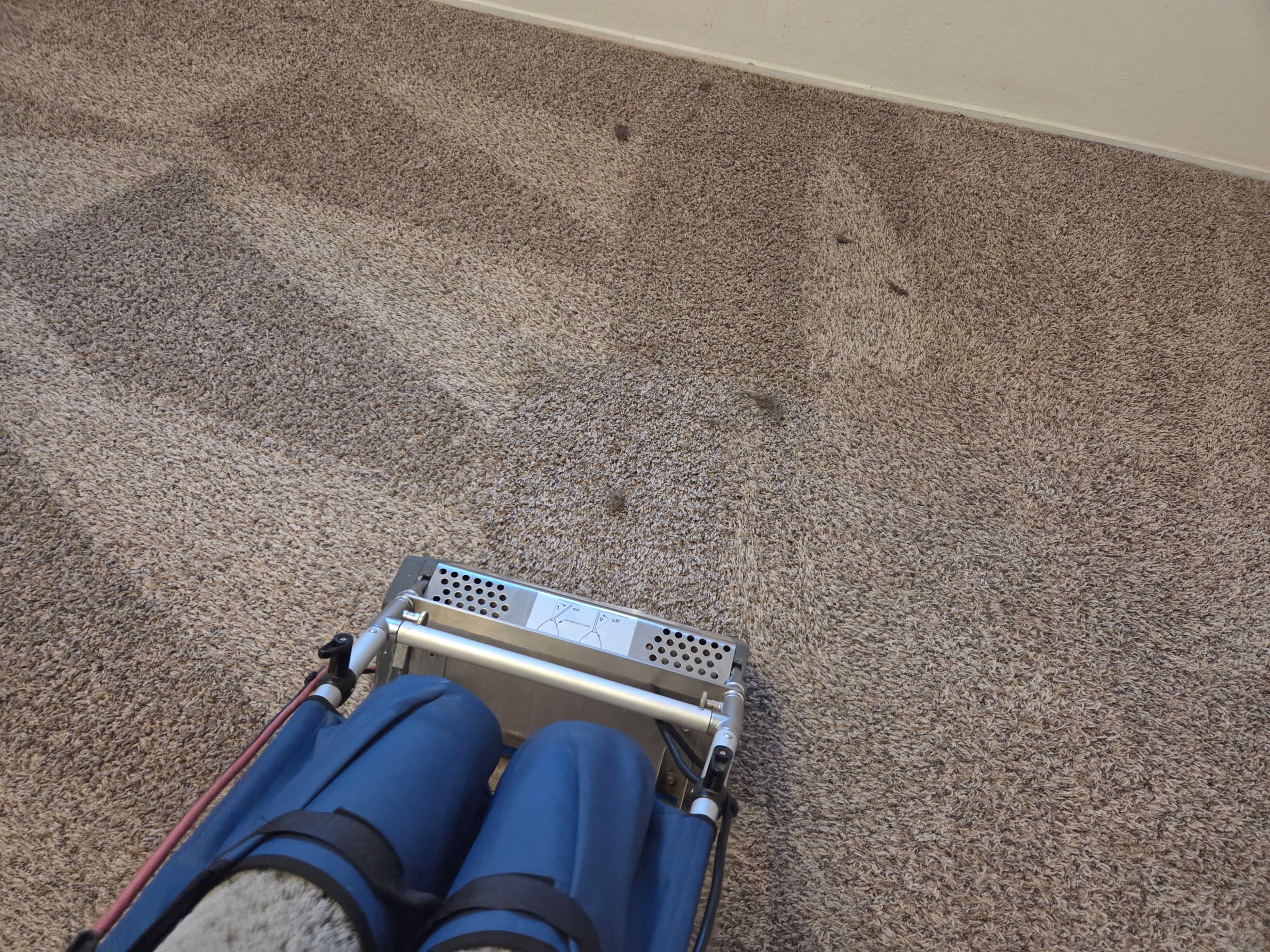 Move-Out Carpet Repairs & Carpet Cleaning by Ardent Carpet Restore LLC