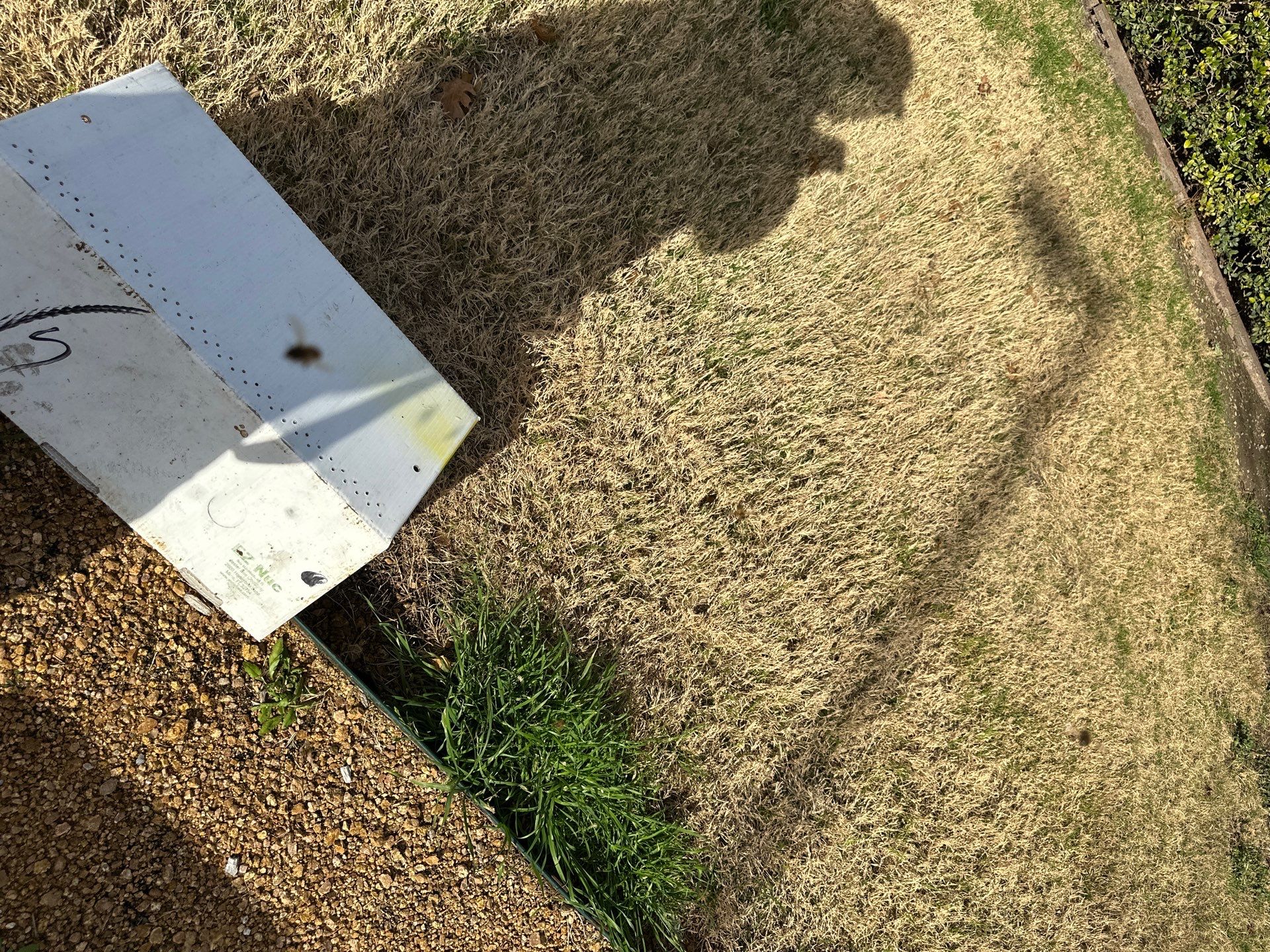 Richdardson Corporate Bees by Rockwall Honey Bee Company