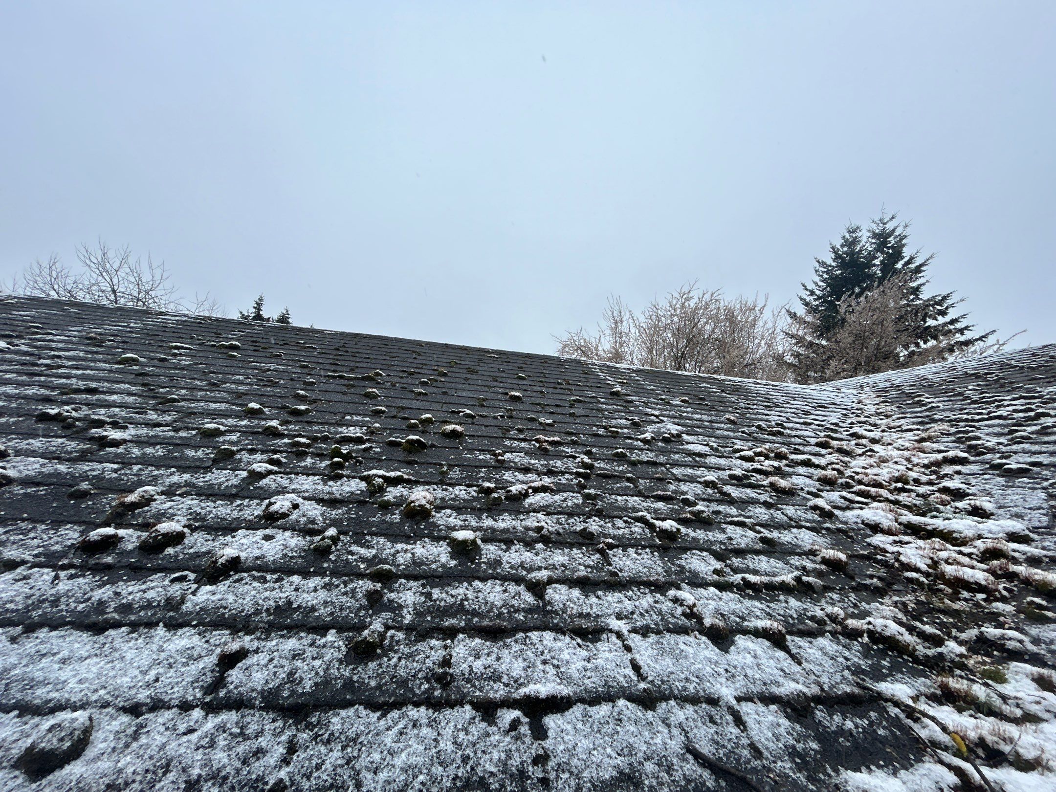 Roof in Lake Stevens by Connolly Construction Company