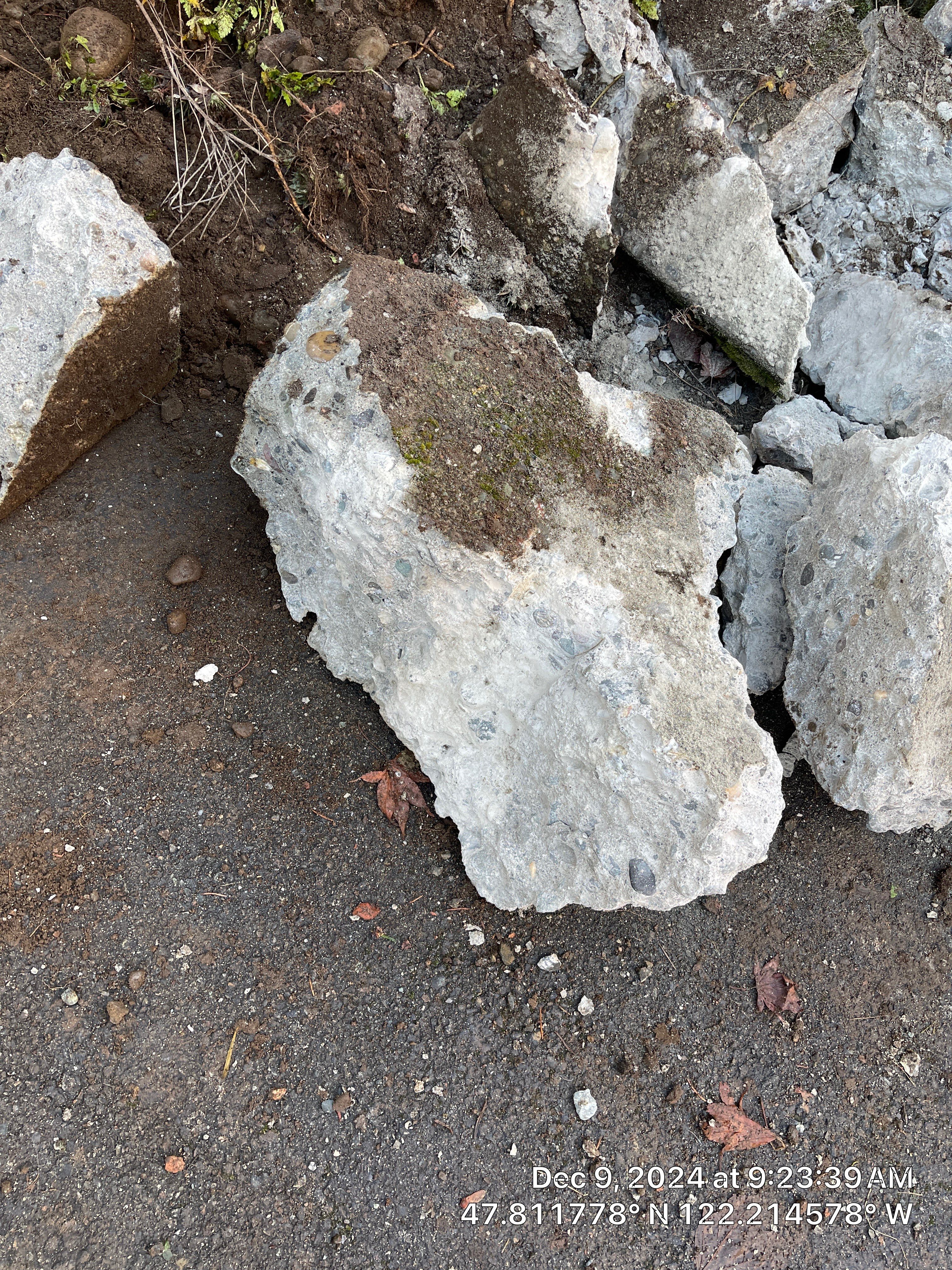 Concrete Front Stair Repair | Bothell  by Jireh Asphalt & Concrete Inc 