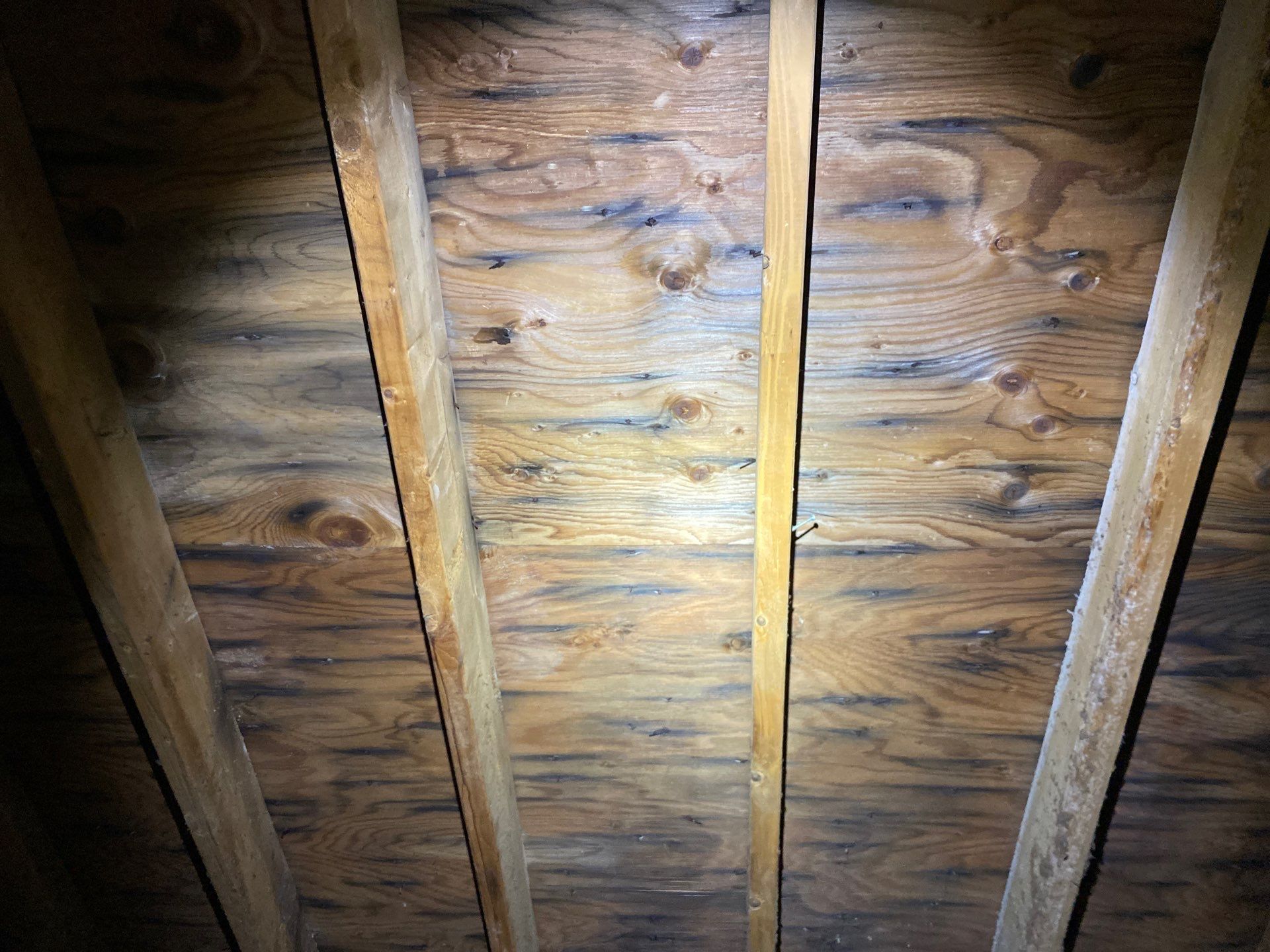 Roofing | Northborough by Mighty Dog Roofing of Greater Middlesex County