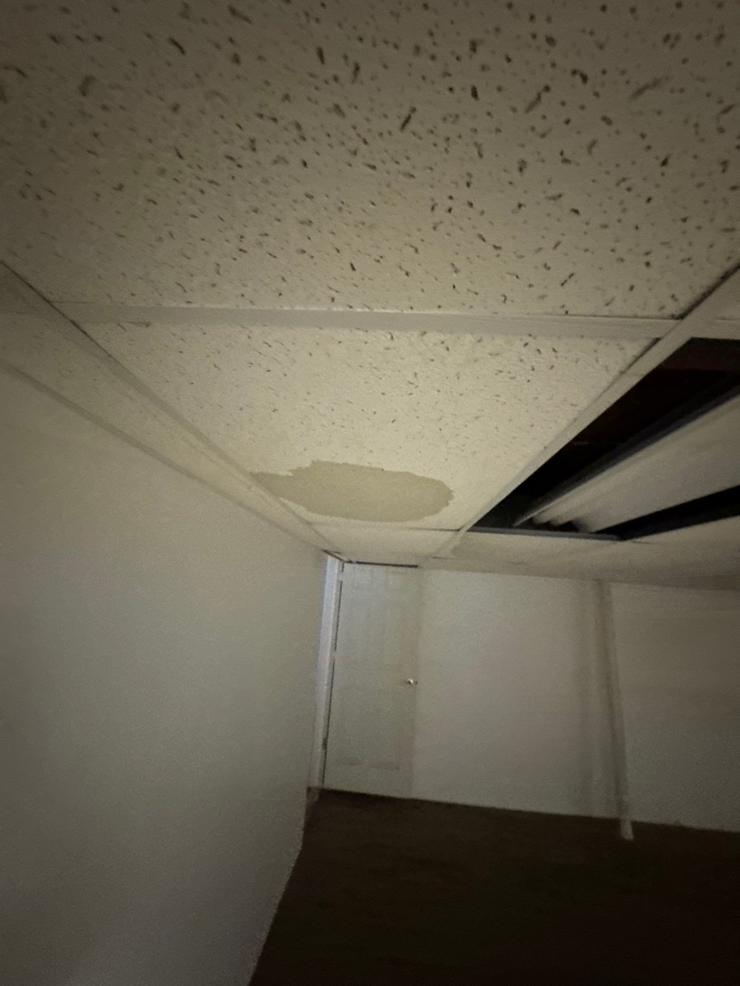 Project in Farmington Hills by EzDry Water Mitigation & Property Restoration