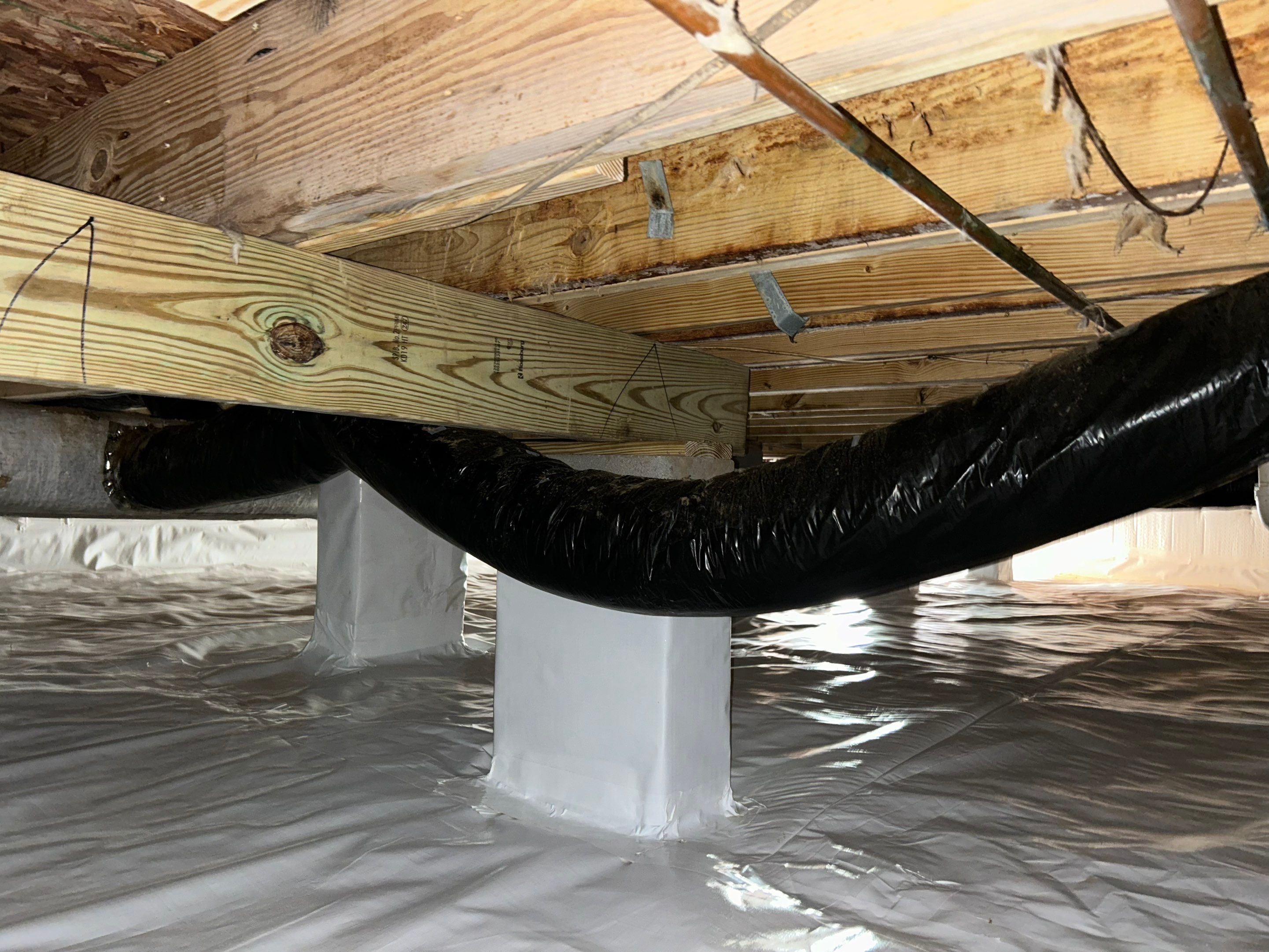 Structural Repairs inludiing sub-floor removal, new floor joists installed, girder replacmeent and dropped girder installed. by Impact Crawlspace