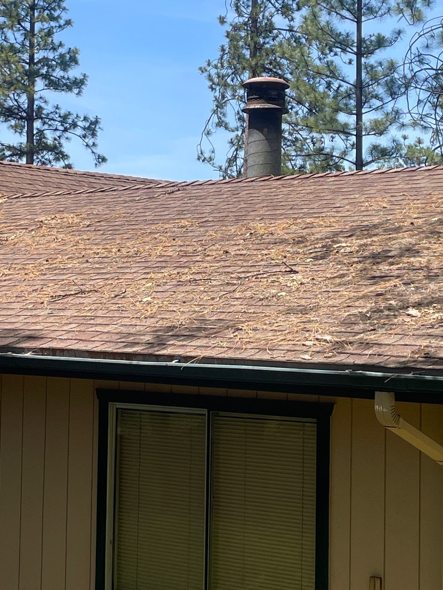 Roof Rejuvenation using Roof Maxx Treatment by Roof Maxx of Folsom