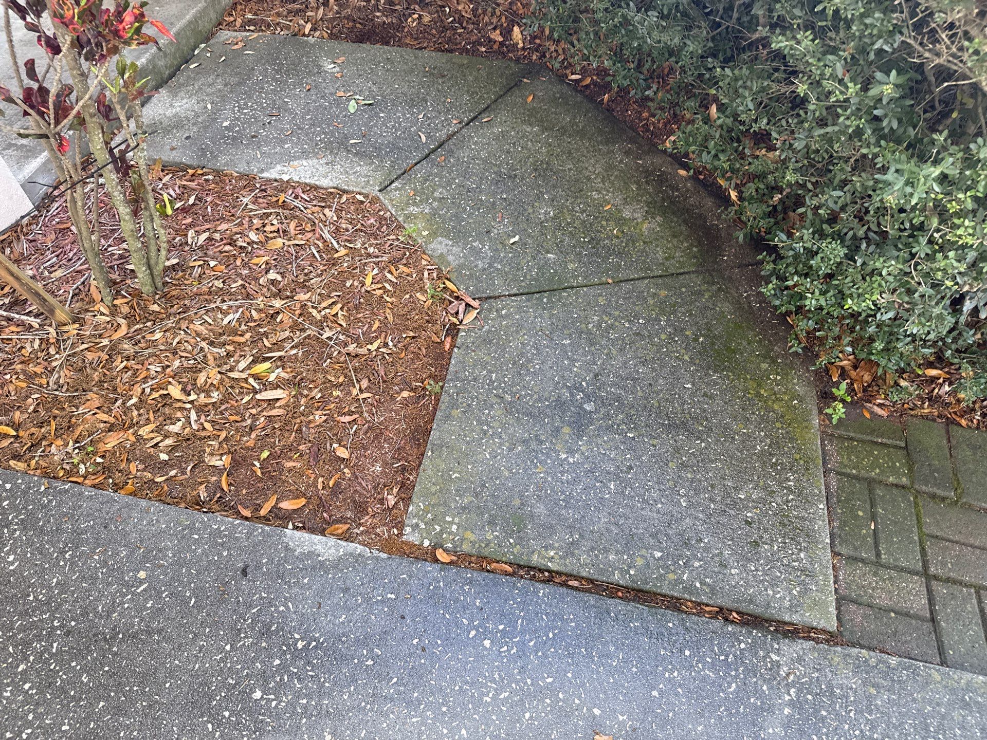 Concrete Driveway & Sidewalk Cleaning ā Peppermill IV at Providence Lakes, Brandon, FL by Sunshine AquaWash