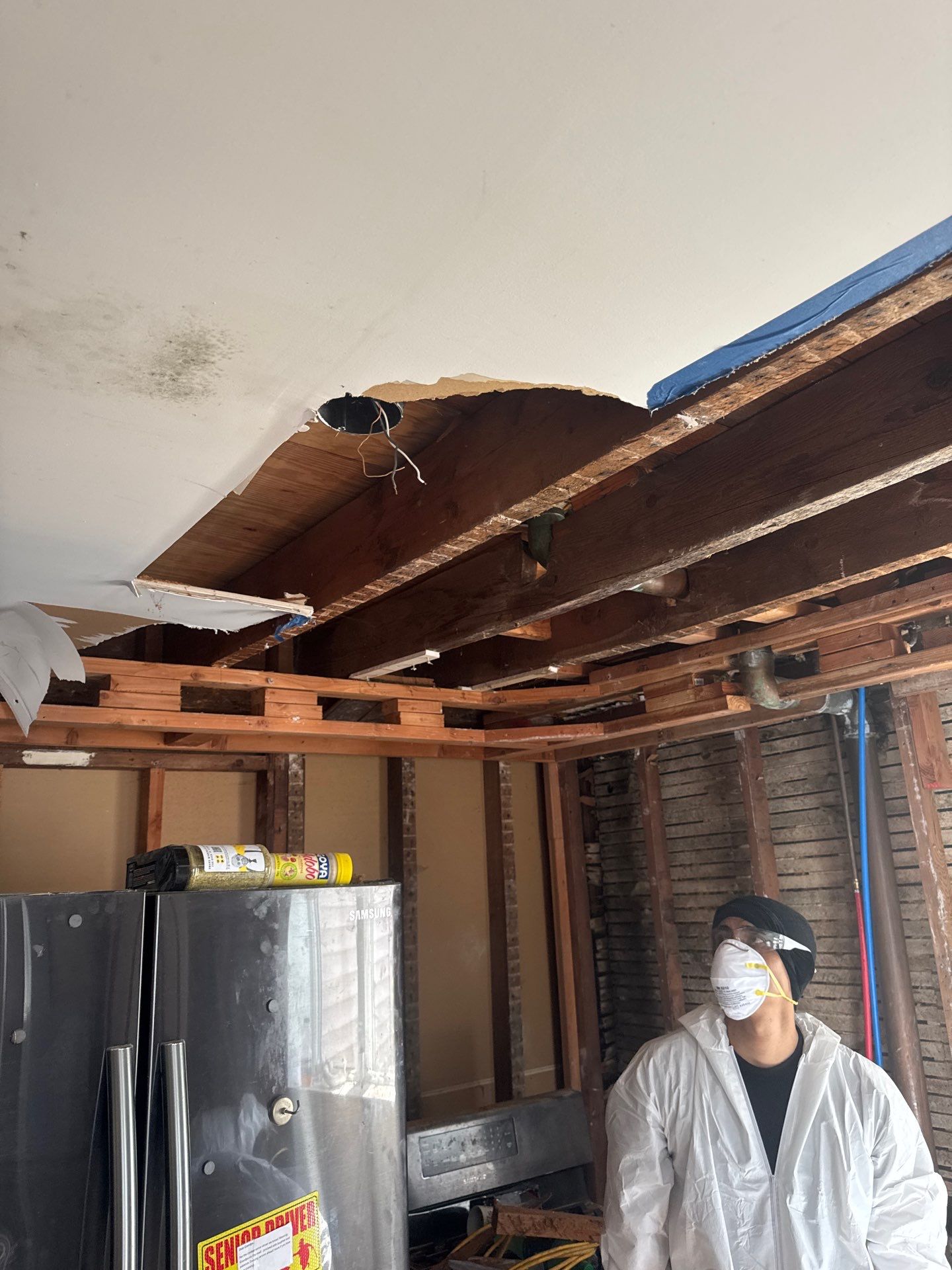 Comprehensive Mold Remediation and Kitchen Restoration in East Islip by Newhouse Restoration