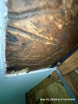 Sewage Backup Cleanup — Marco Island, FL