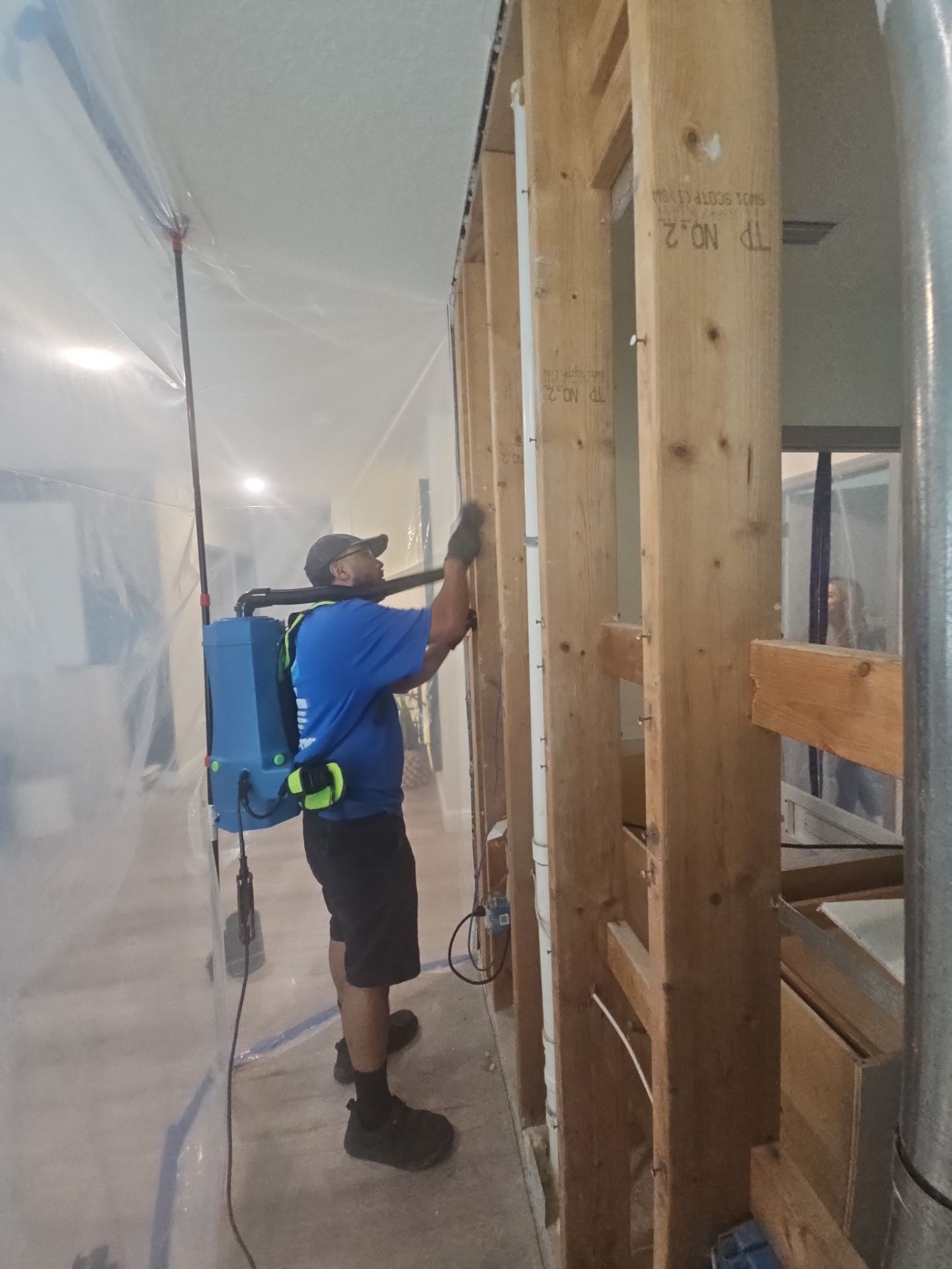 Mold Removal In Bradenton FL by Ampm Restoration Services