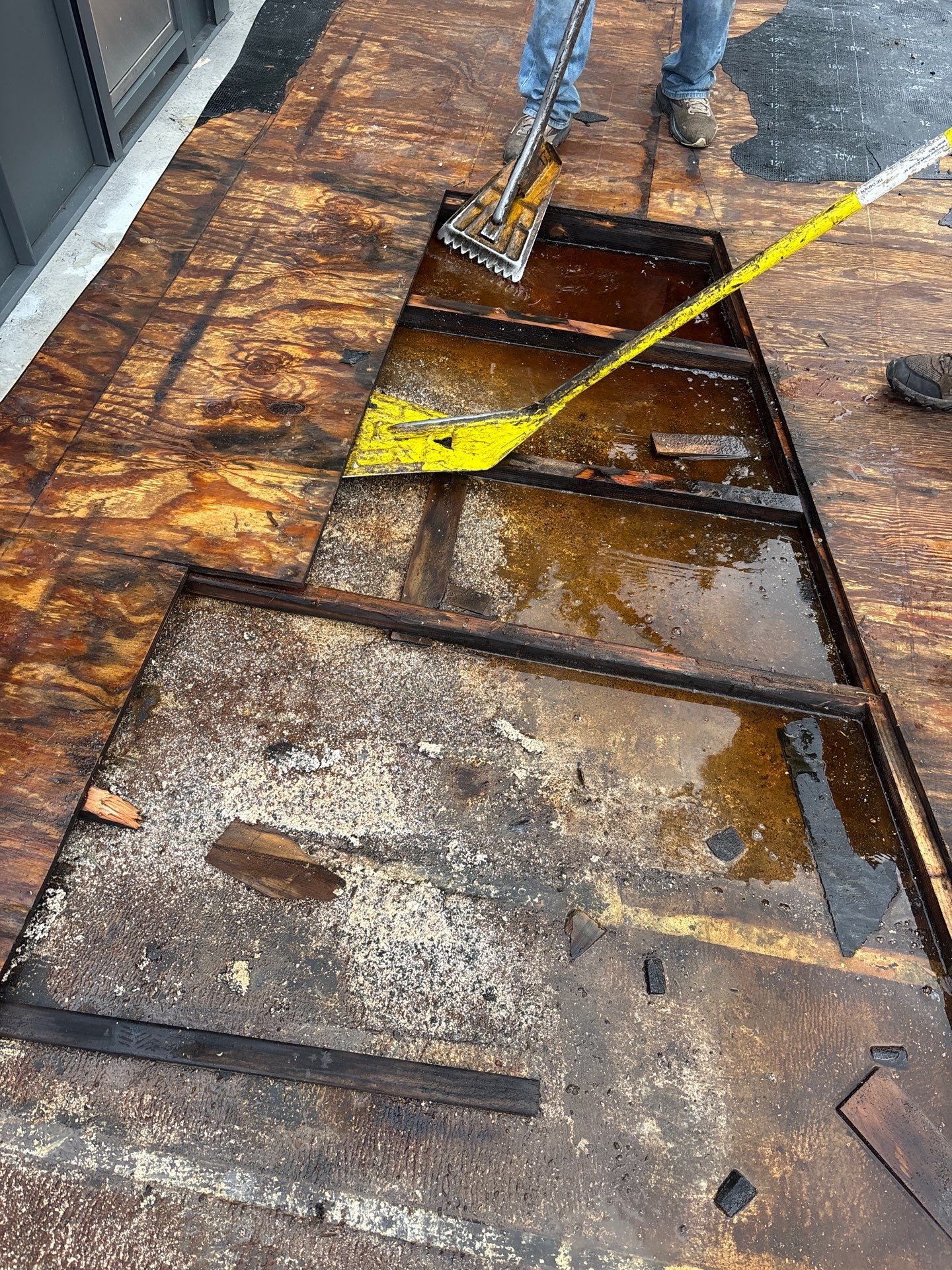 TPO Roof Replacement Project in Philadelphia, Pennsylvania by Philadelphia Quality Roofing