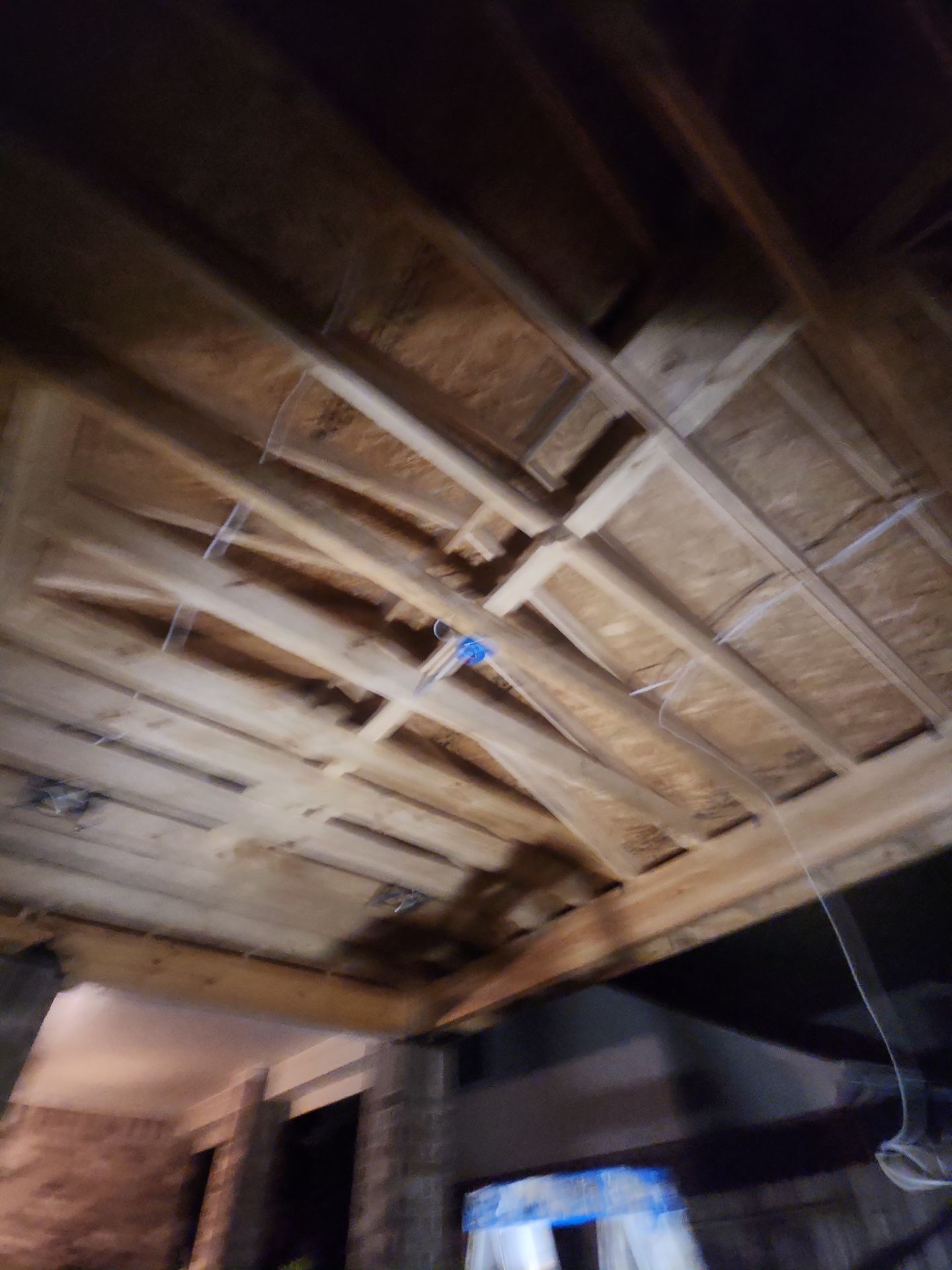 The Gillespie Family by SophAlx LLC