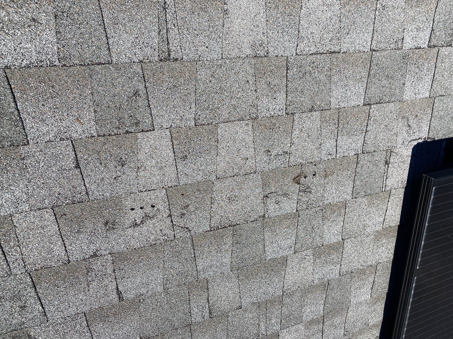 Silver Birch Shingles by Reimagine Roofing