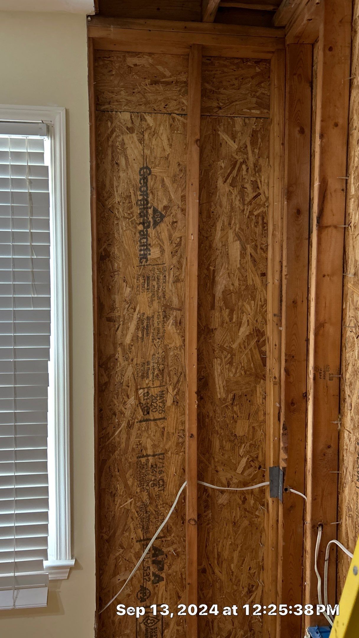 Limited Mold Remediation by EAS Environmental, LLC.