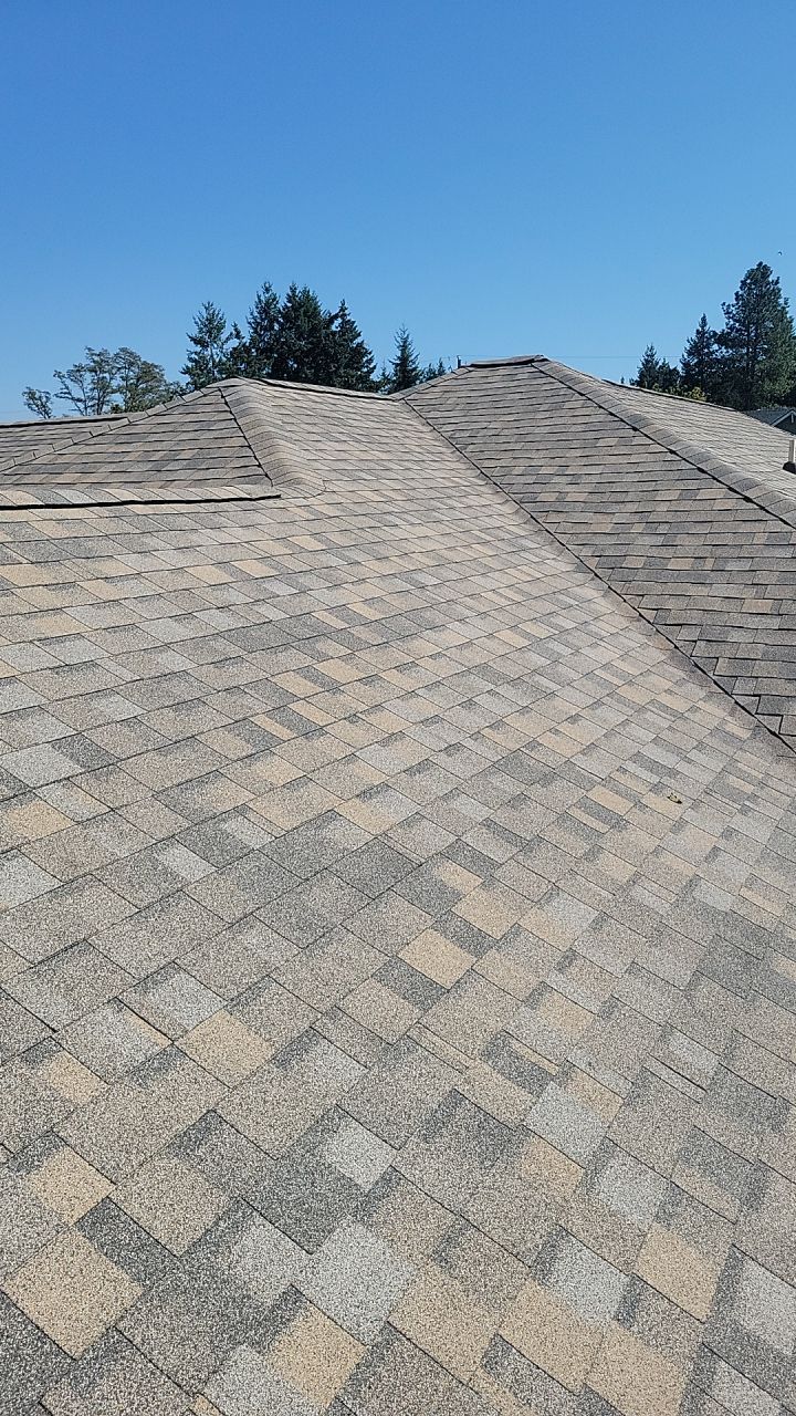 Residential Roofing Installation using IKO Dynasty (Color: Biscayne) by Orezona Building & Roofing Company, Inc.