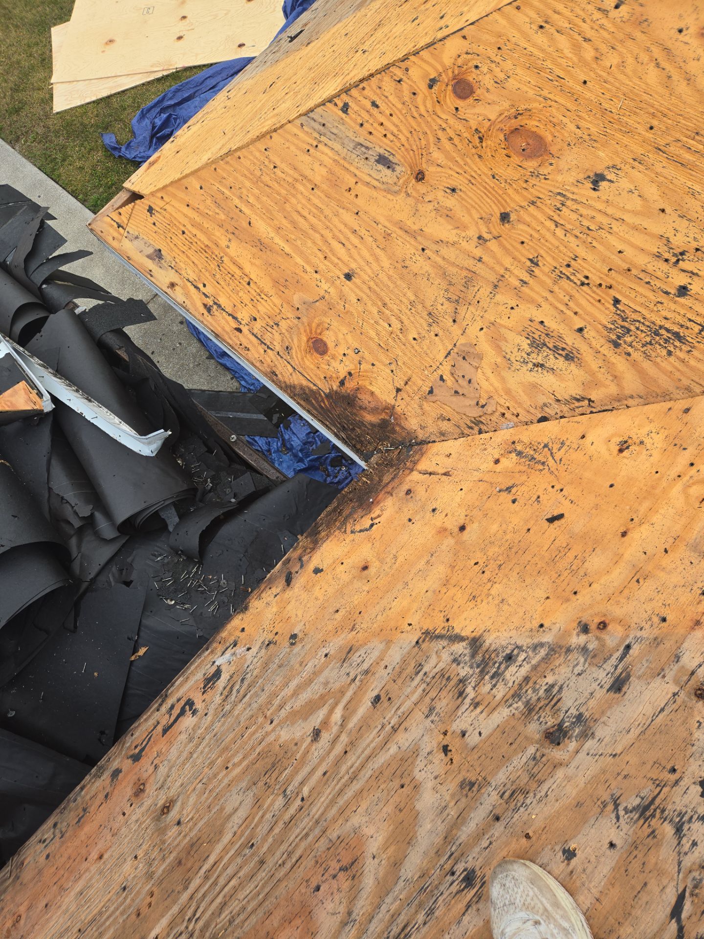 Project in St. Petersburg 33705 by Mitchell Roofing Company LLC