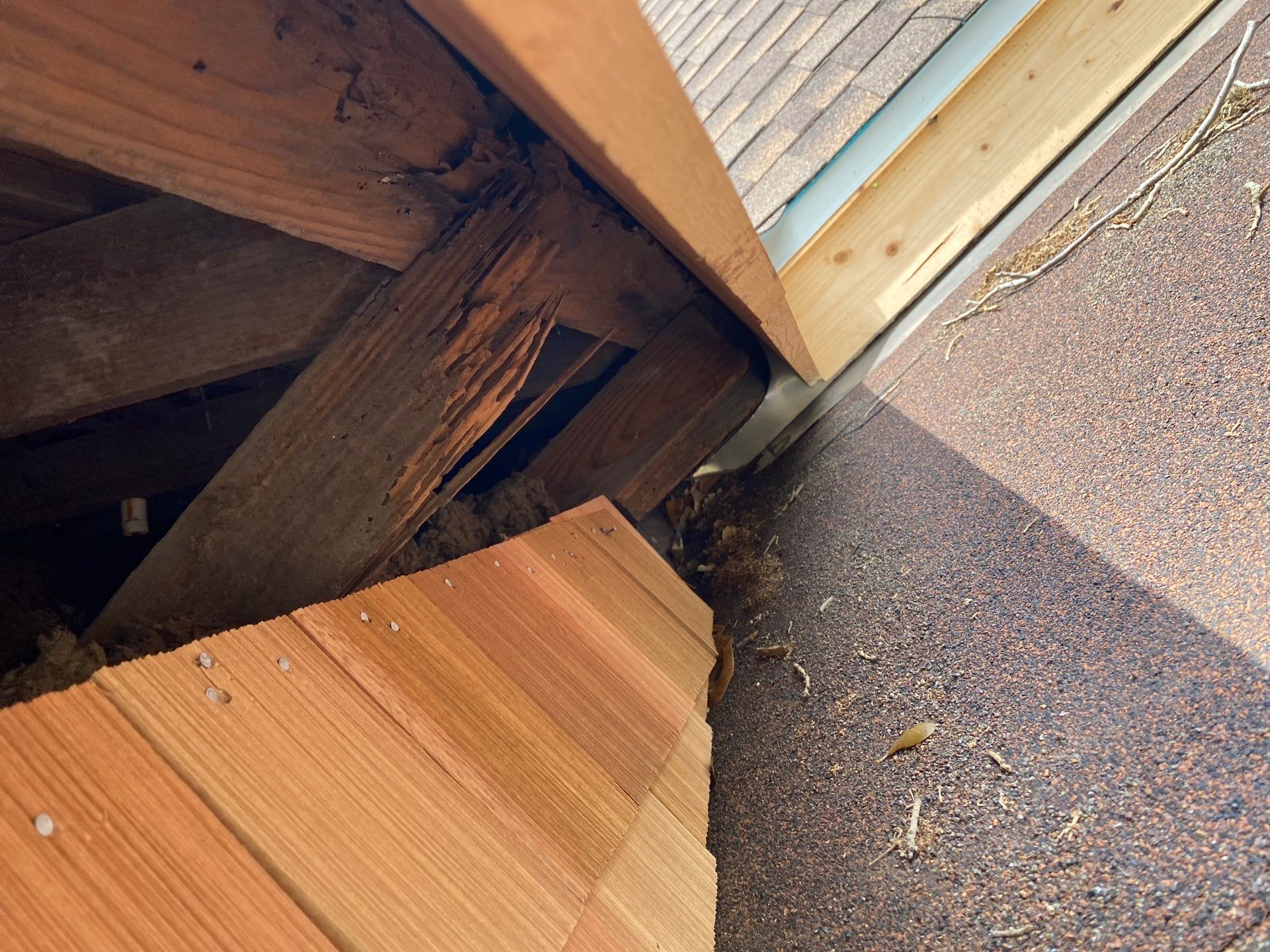Harritage Park Remodel by Bayfront Roofing and Construction