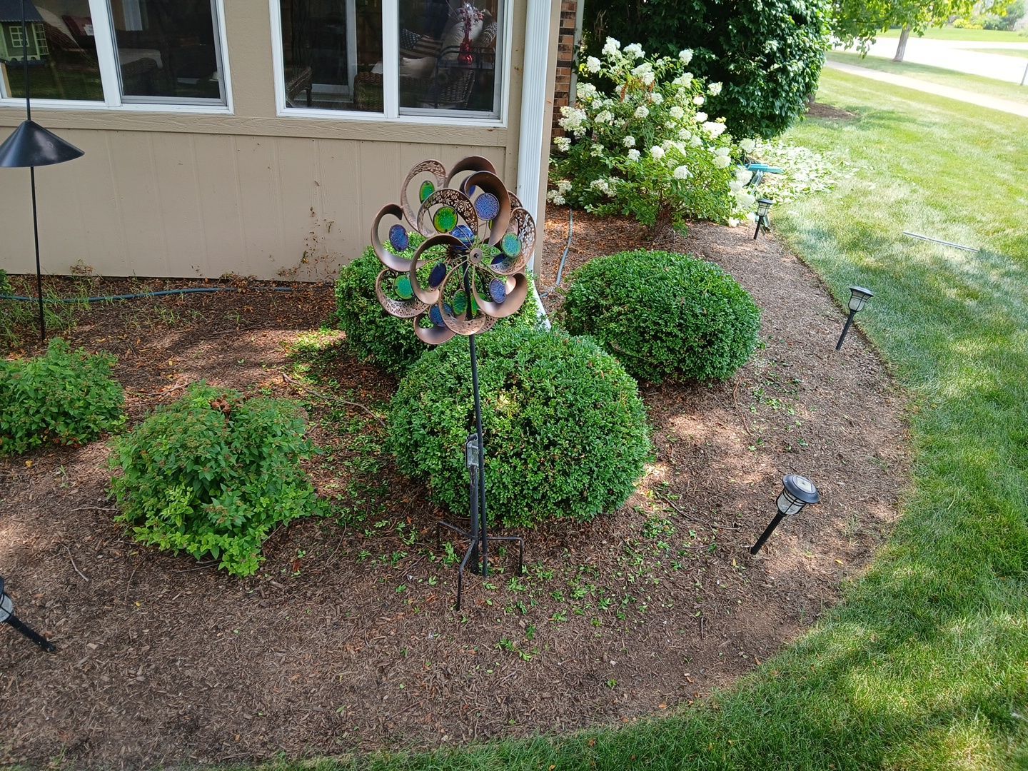 Ed E. - Wheeling, IL by A&N 
