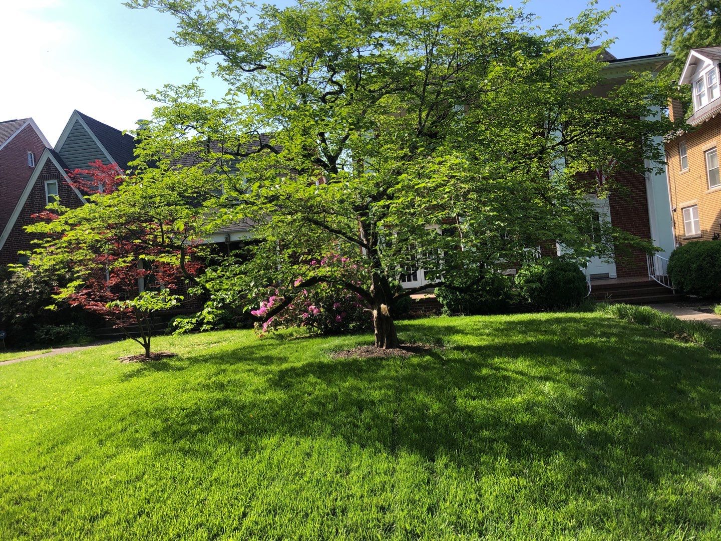 Liriope grasses, mulch and stone pavers by GrassBusters, Inc.