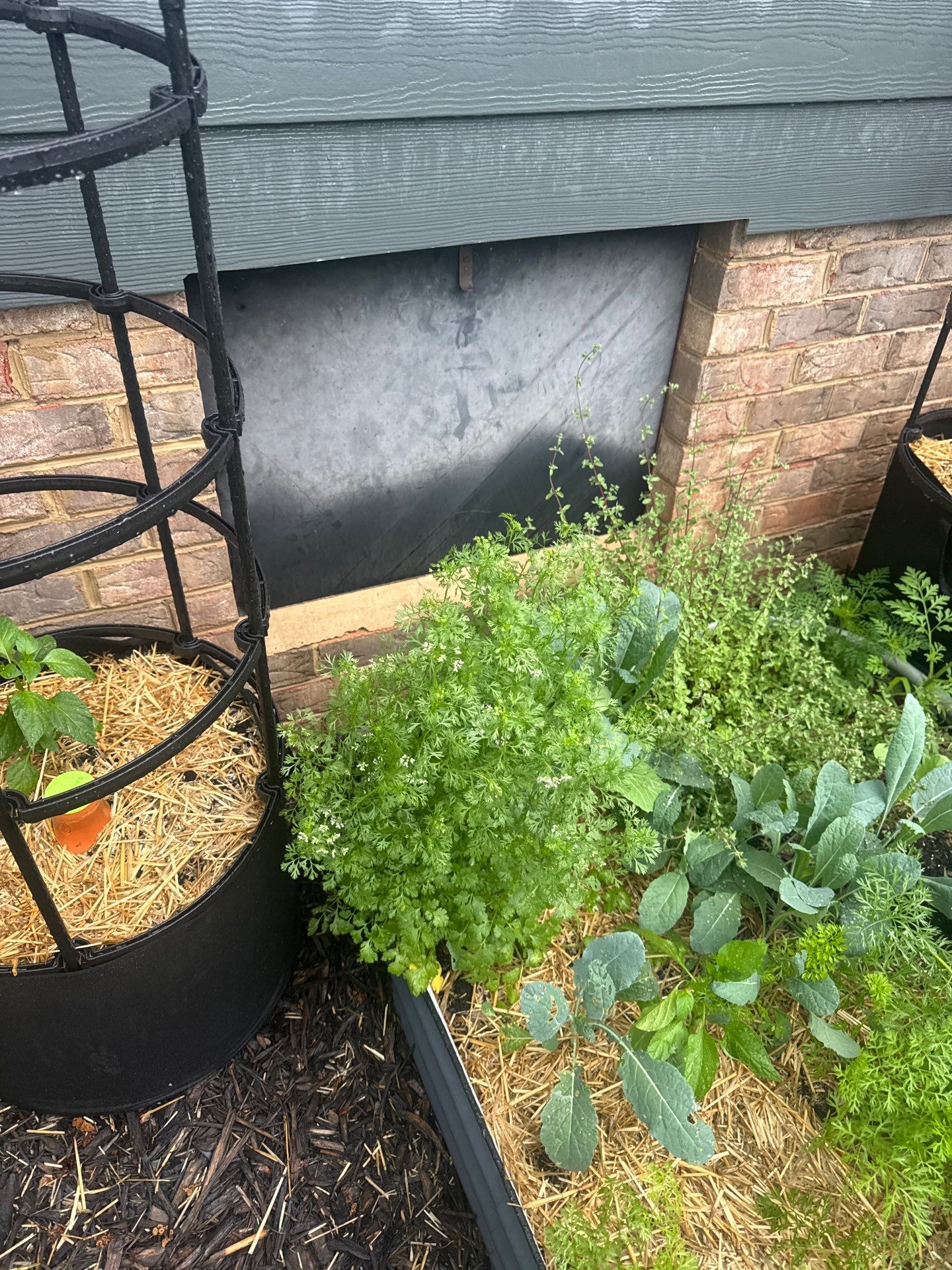 Project in Smithfield by Patriot Crawl Space Repairs