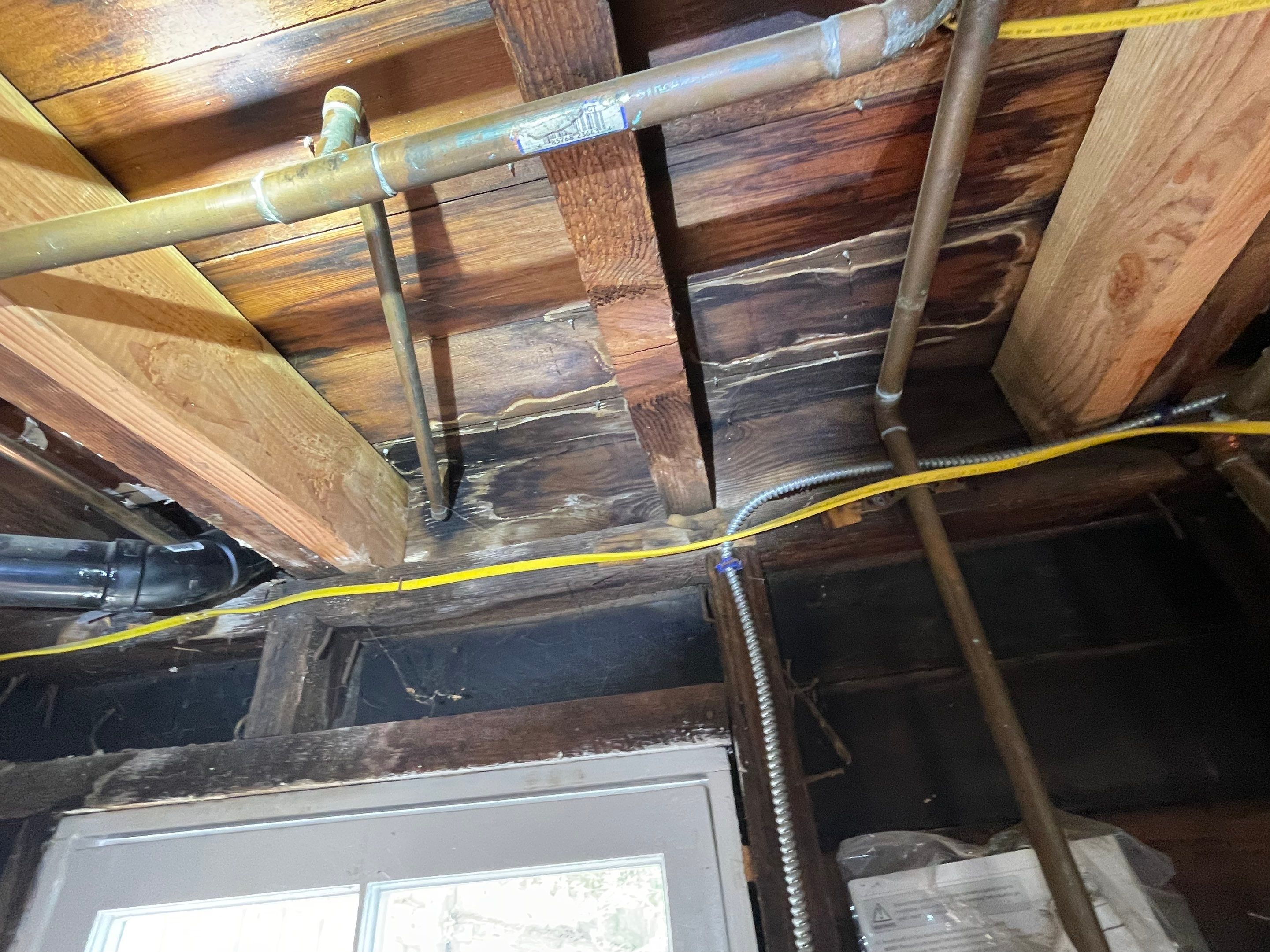 Wood Destroying Organisms Report by GLOBAL Termite Solutions