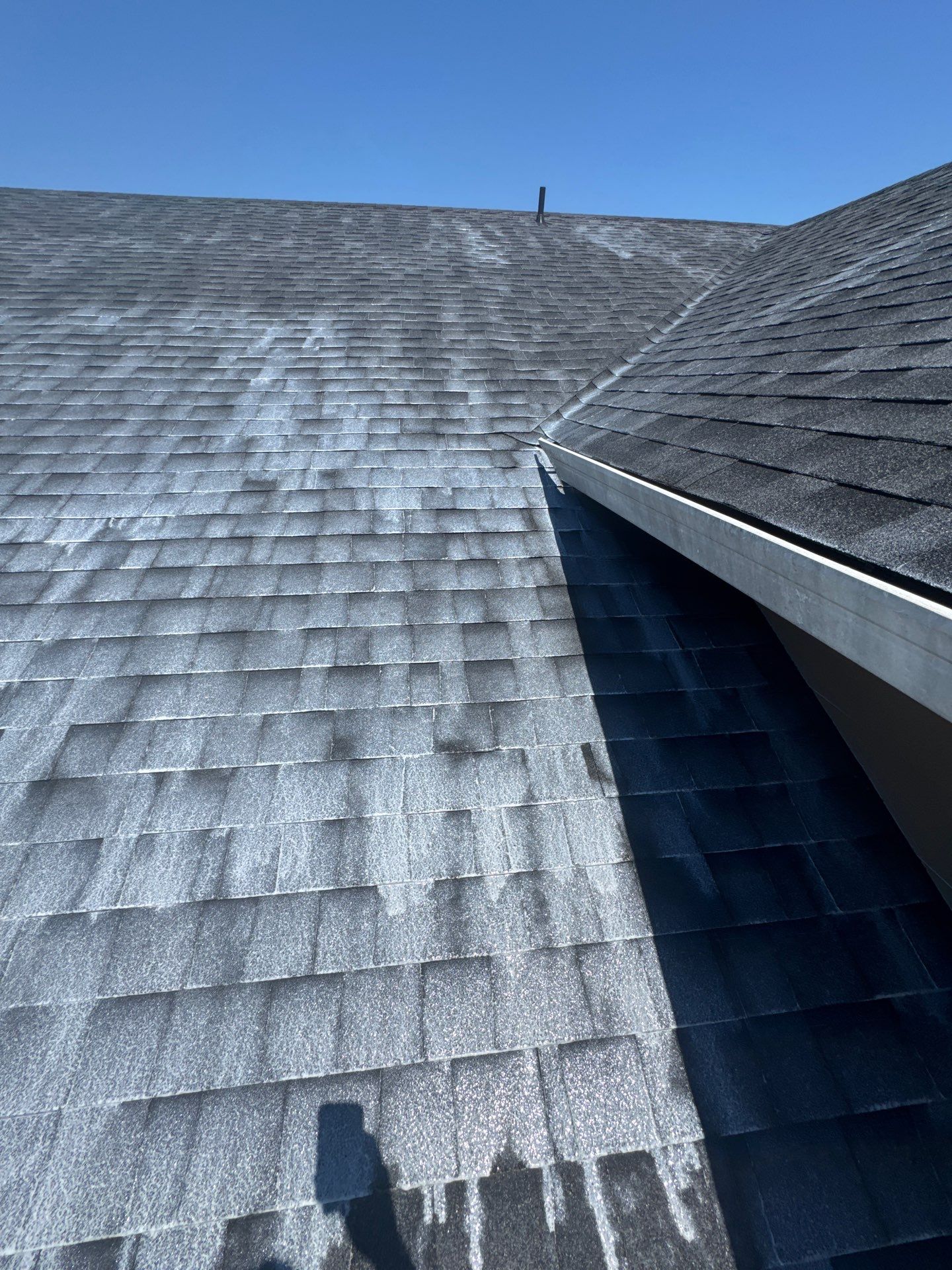 Project in Cottage Grove by Roof Maxx of Grants Pass