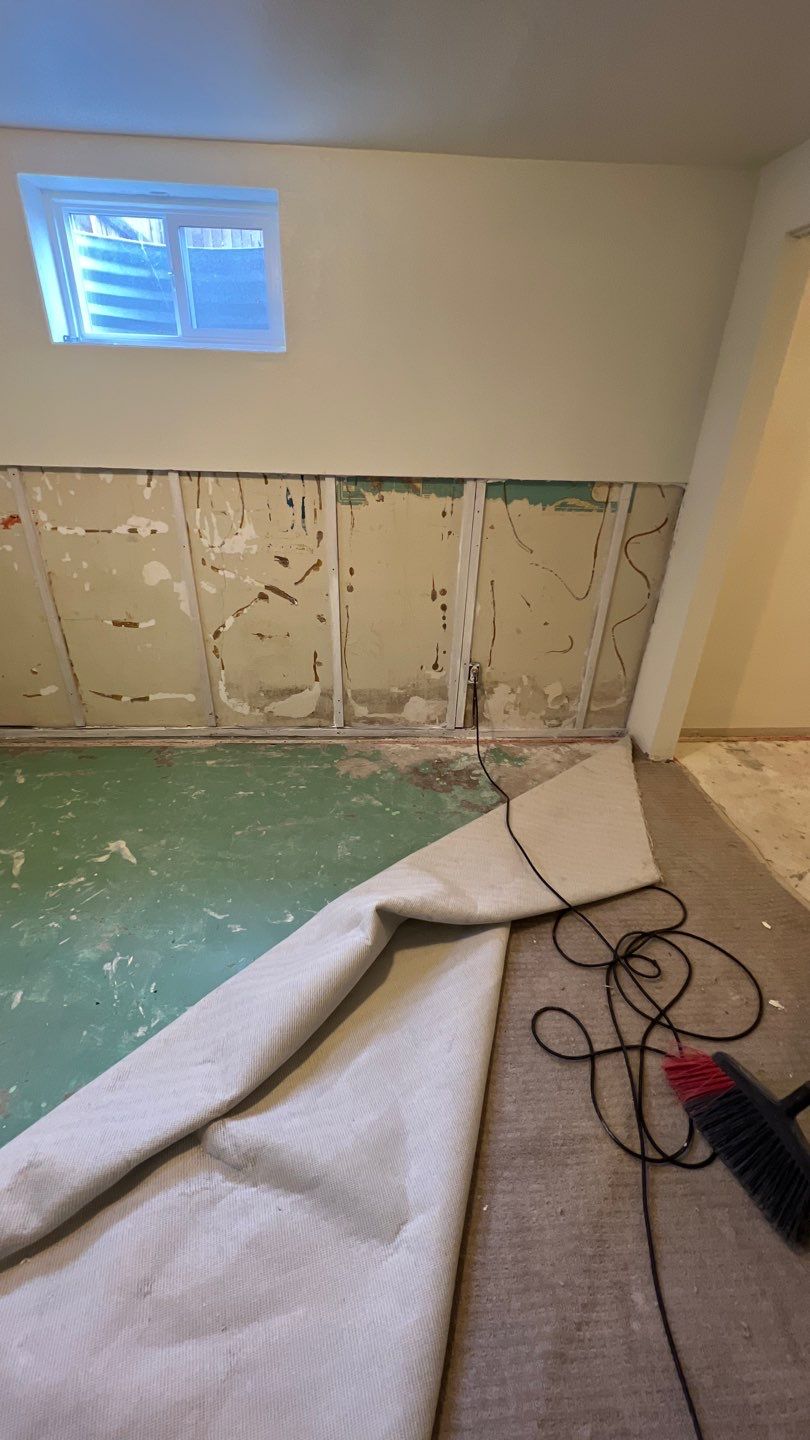 Mold Remediation by Accountable Home Services