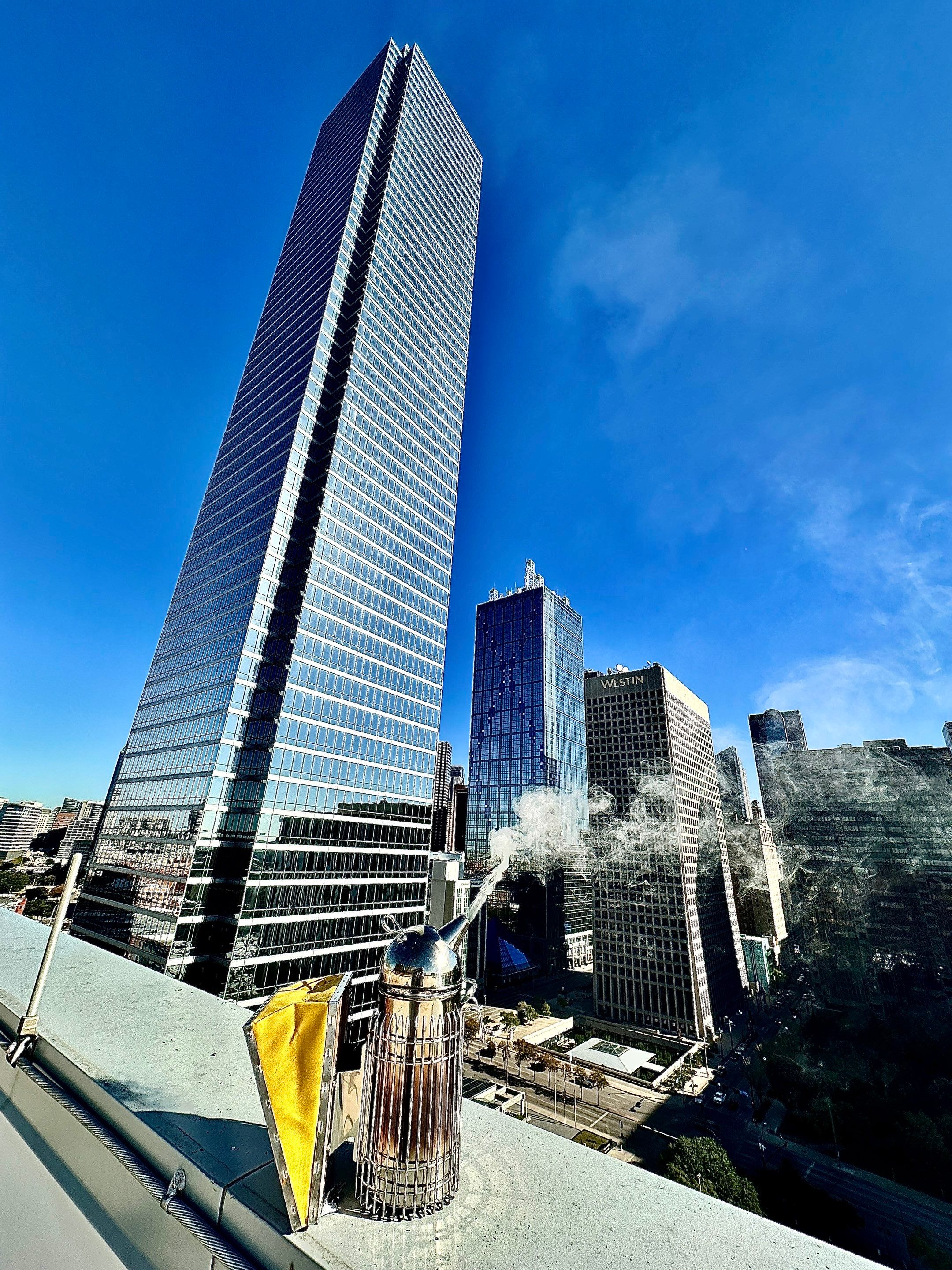 Downtown Dallas by Rockwall Honey Bee Company