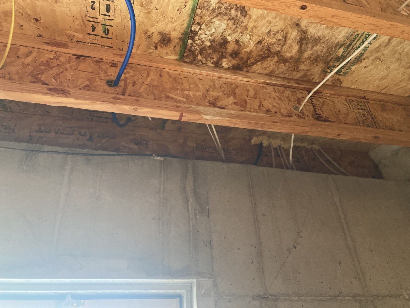 Mold Remediation in Kitchen by Accountable Home Services