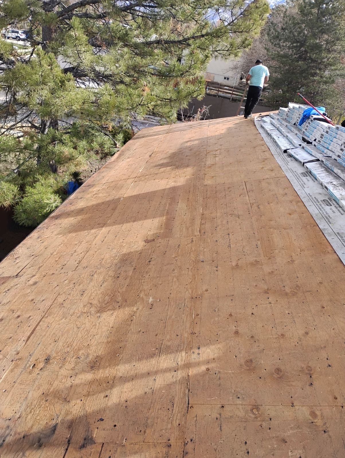 Onyx Black Shingles by Reimagine Roofing