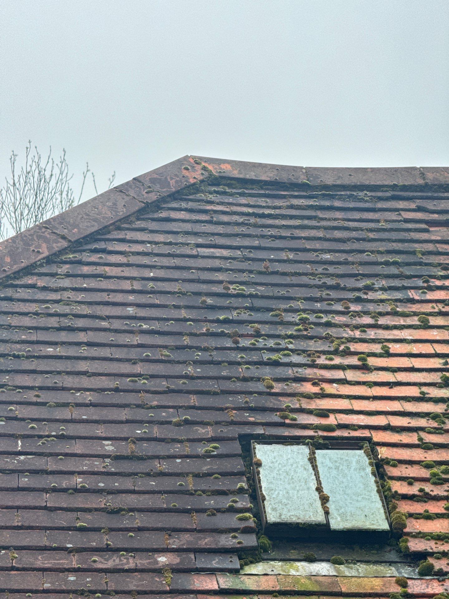 Exterior Clean - Roof - Patio - Driveway using honda 21 ltr/min by Ges Exterior Cleaning ltd