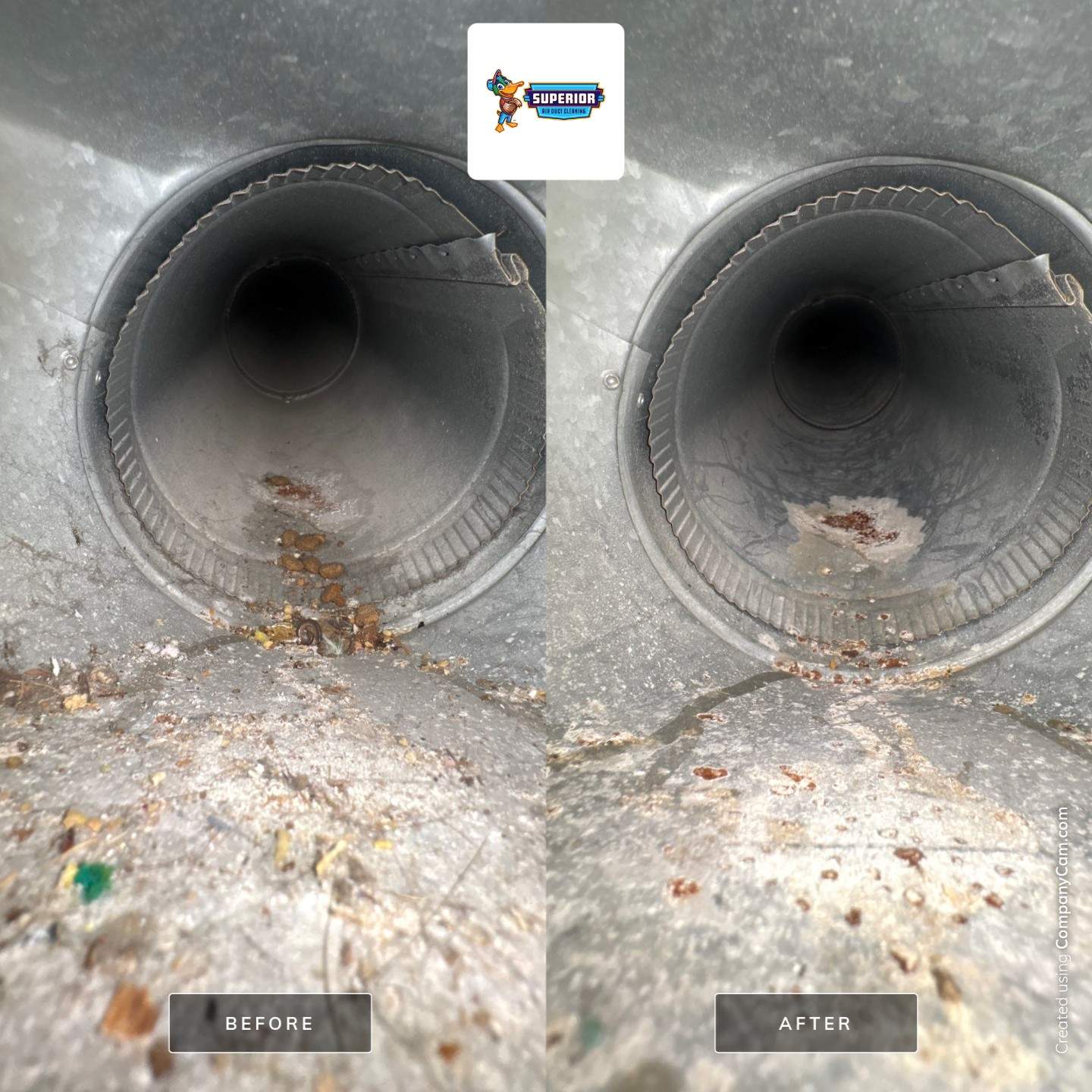 Air Duct & Dryer Vent Cleaning in Mars, PA by Superior Air Duct Cleaning