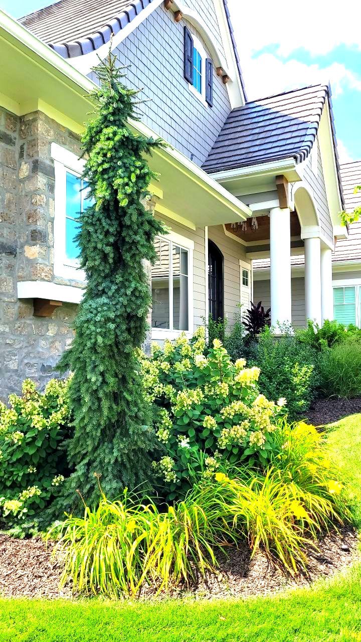 Front Yard Landscape and Walkway Renovation in Overland Park by LAND ESCAPES LLC