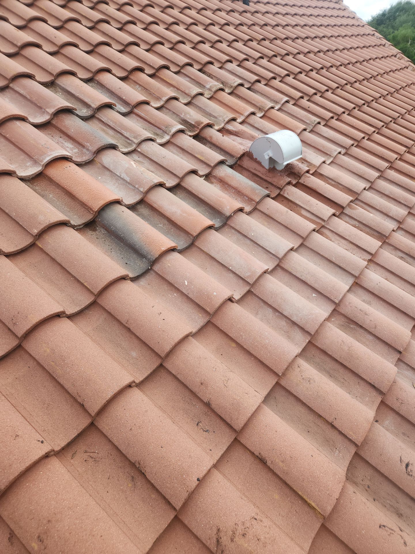 Tile Roof Repair and Structural Decking Replacement in Parkland