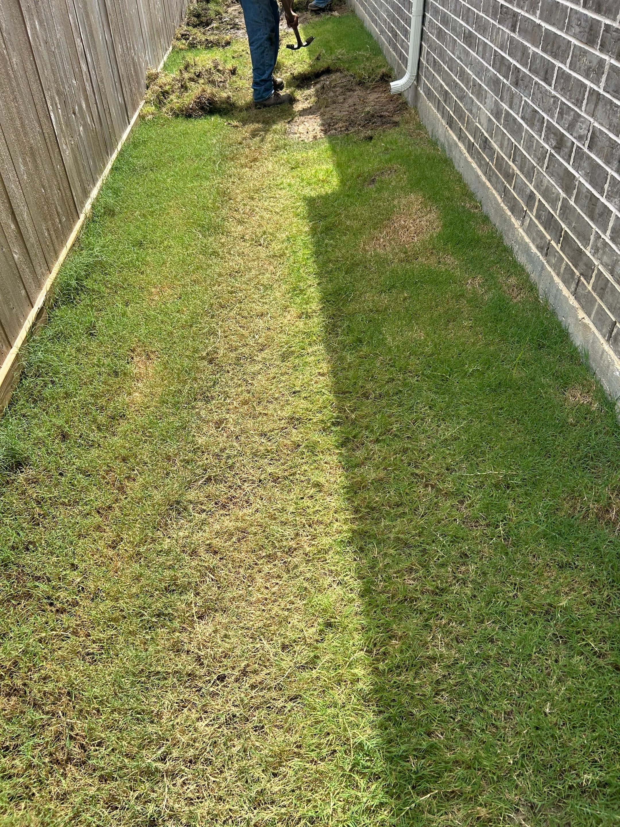 🌿 Mr. Rajaram’s Lawn Transformation by Texas Urban Elements