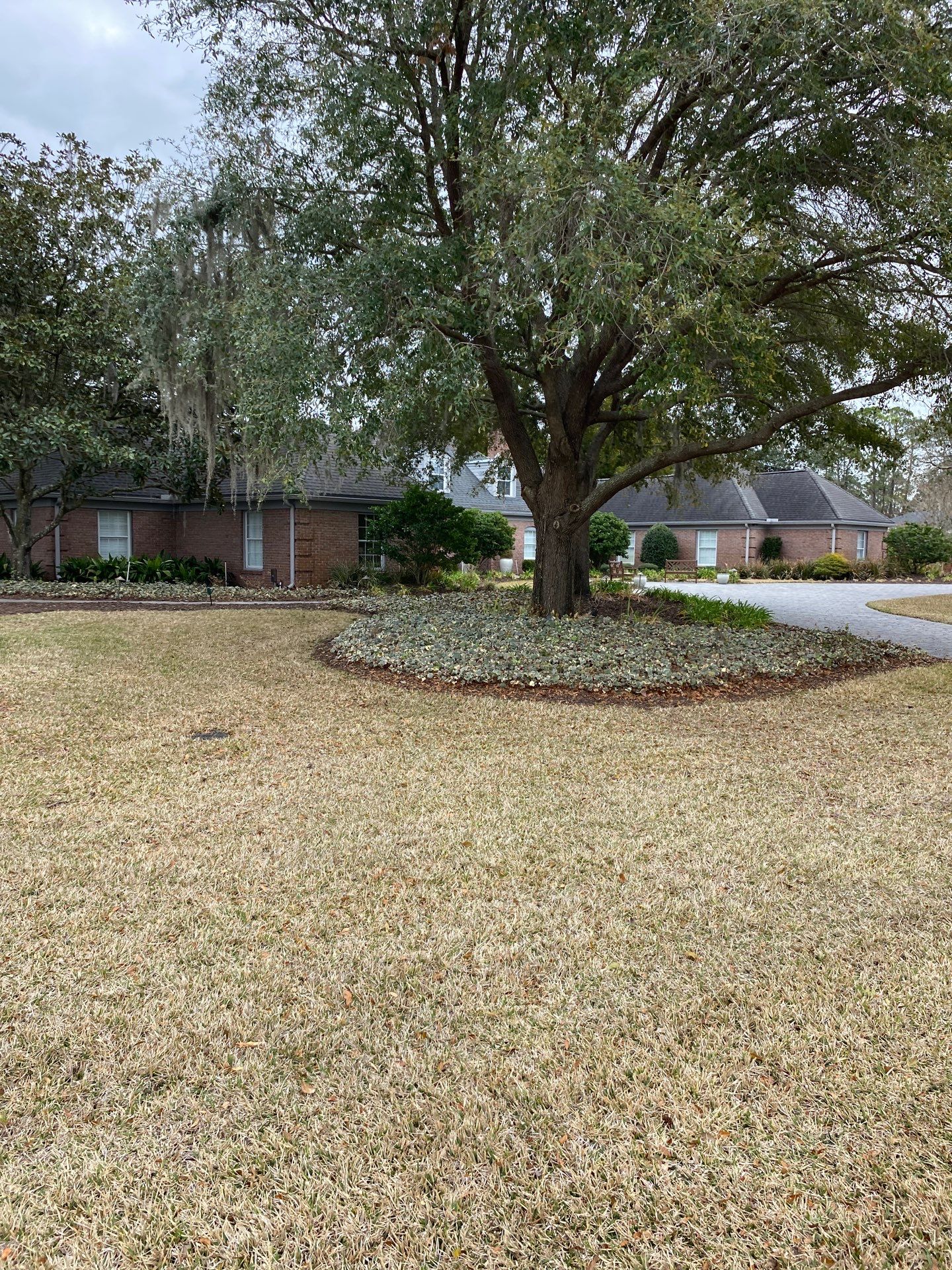 Deerwood Resident | Tree Removal & Mulch Install by ProGreen Services