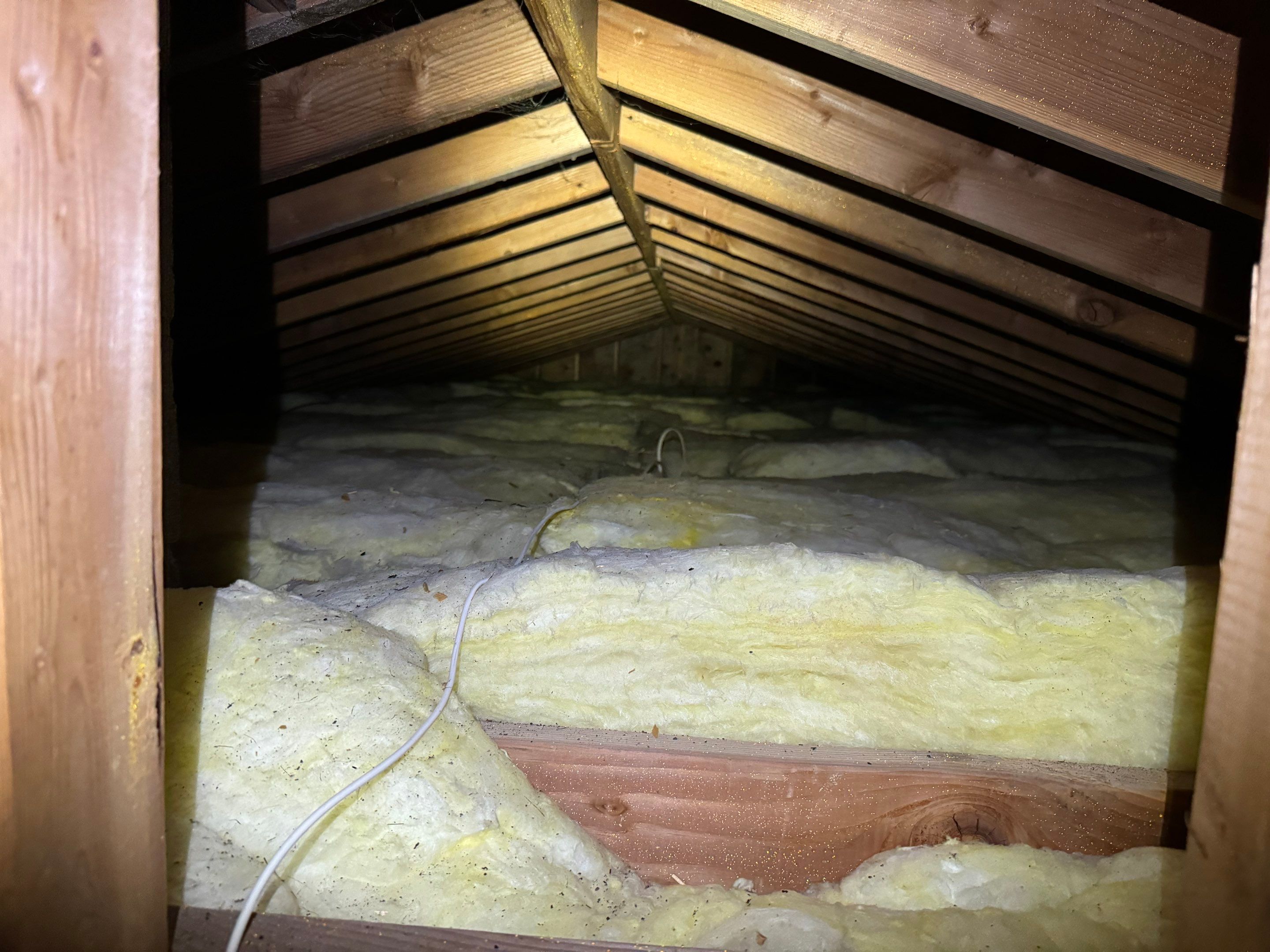 Attic Mold Remediation by Home Guarantee, LLC