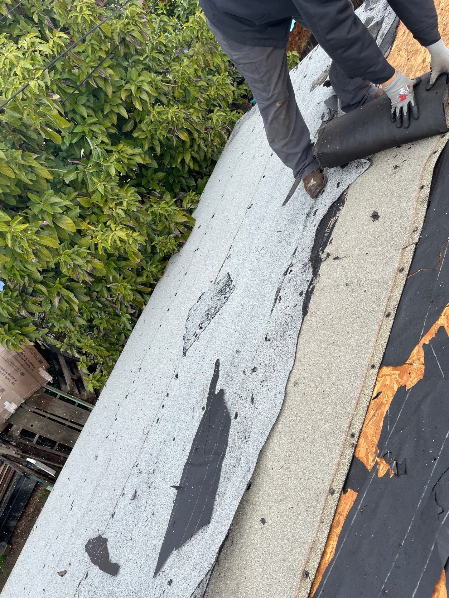 Complete Roof Replacement - Porterville, CA by Grandmark Service Company