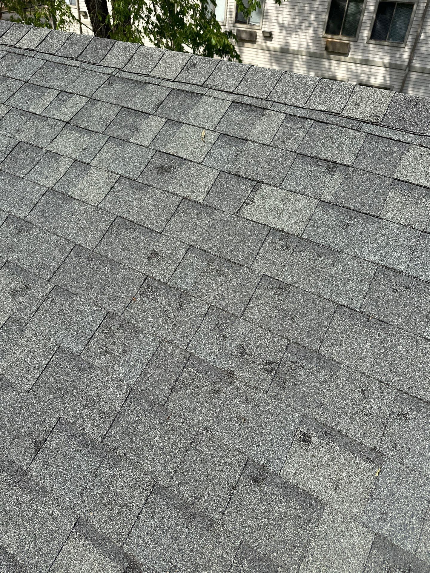 Morabit Office Building by United Contracting and Roofing