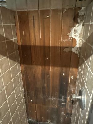Project in Ocean Beach 