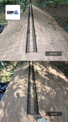 Project in Signal Mountain