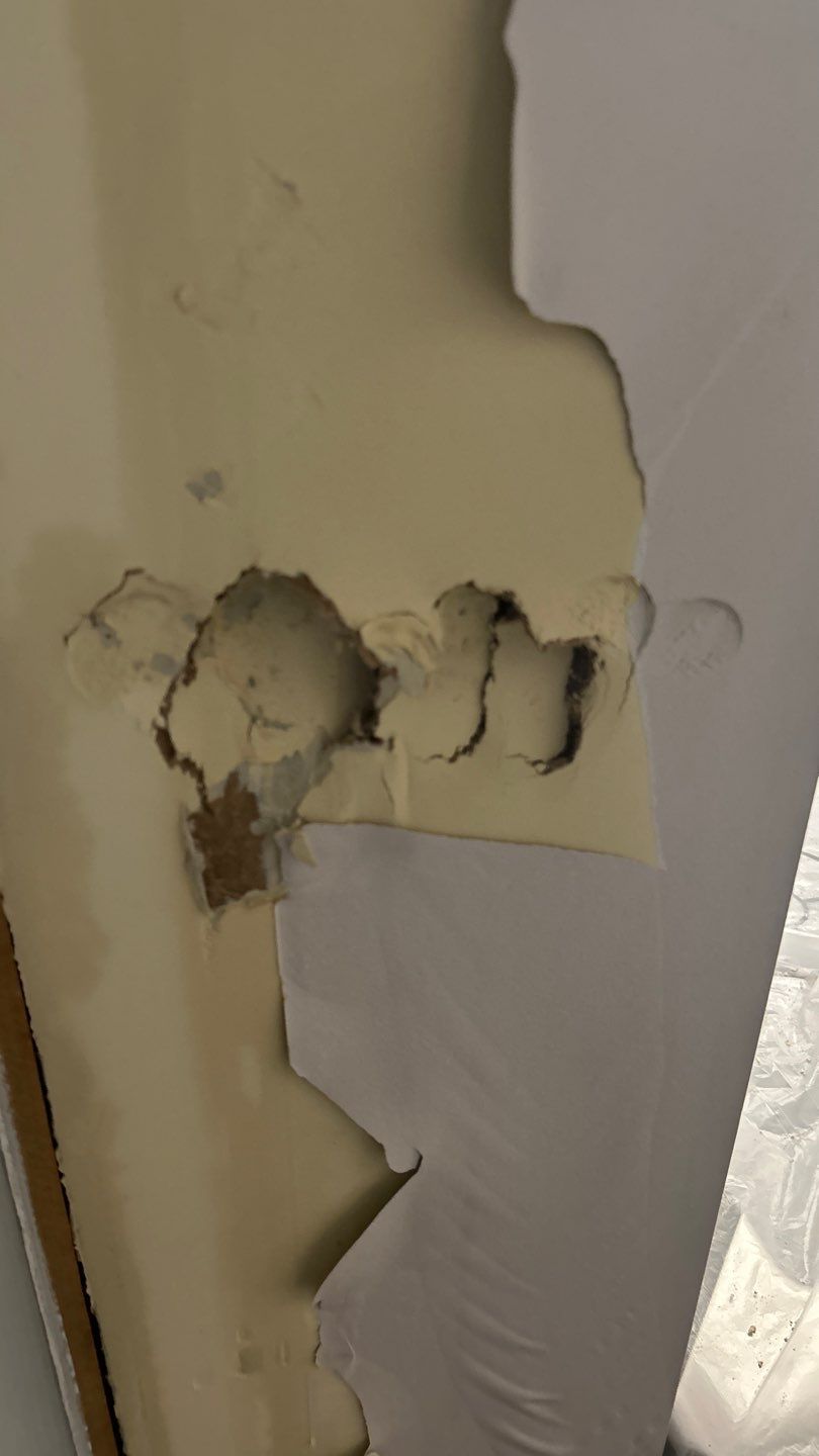 maria aguilera by Unlimited Fire Restoration