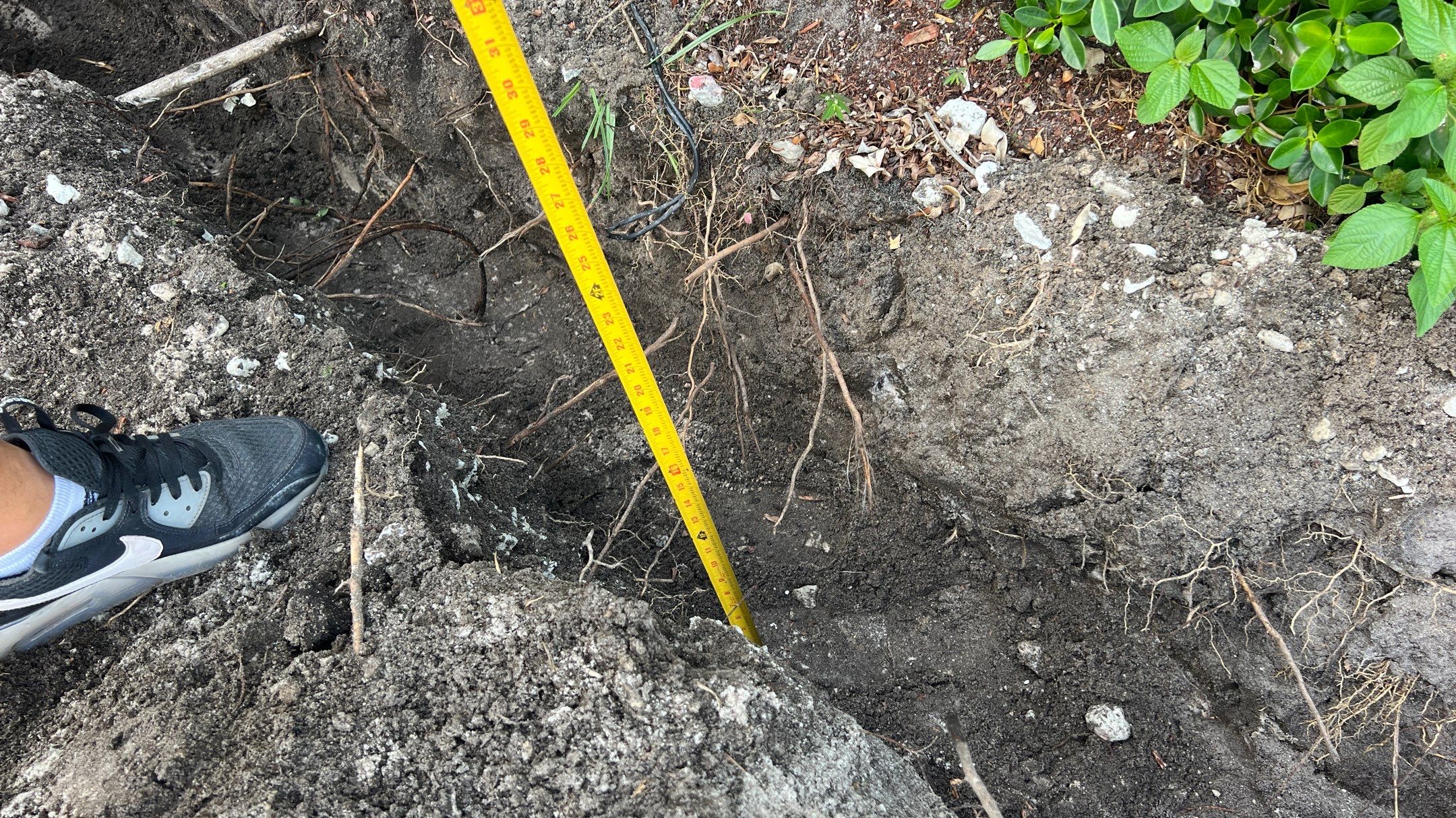 Hazard  by The Landscaping People
